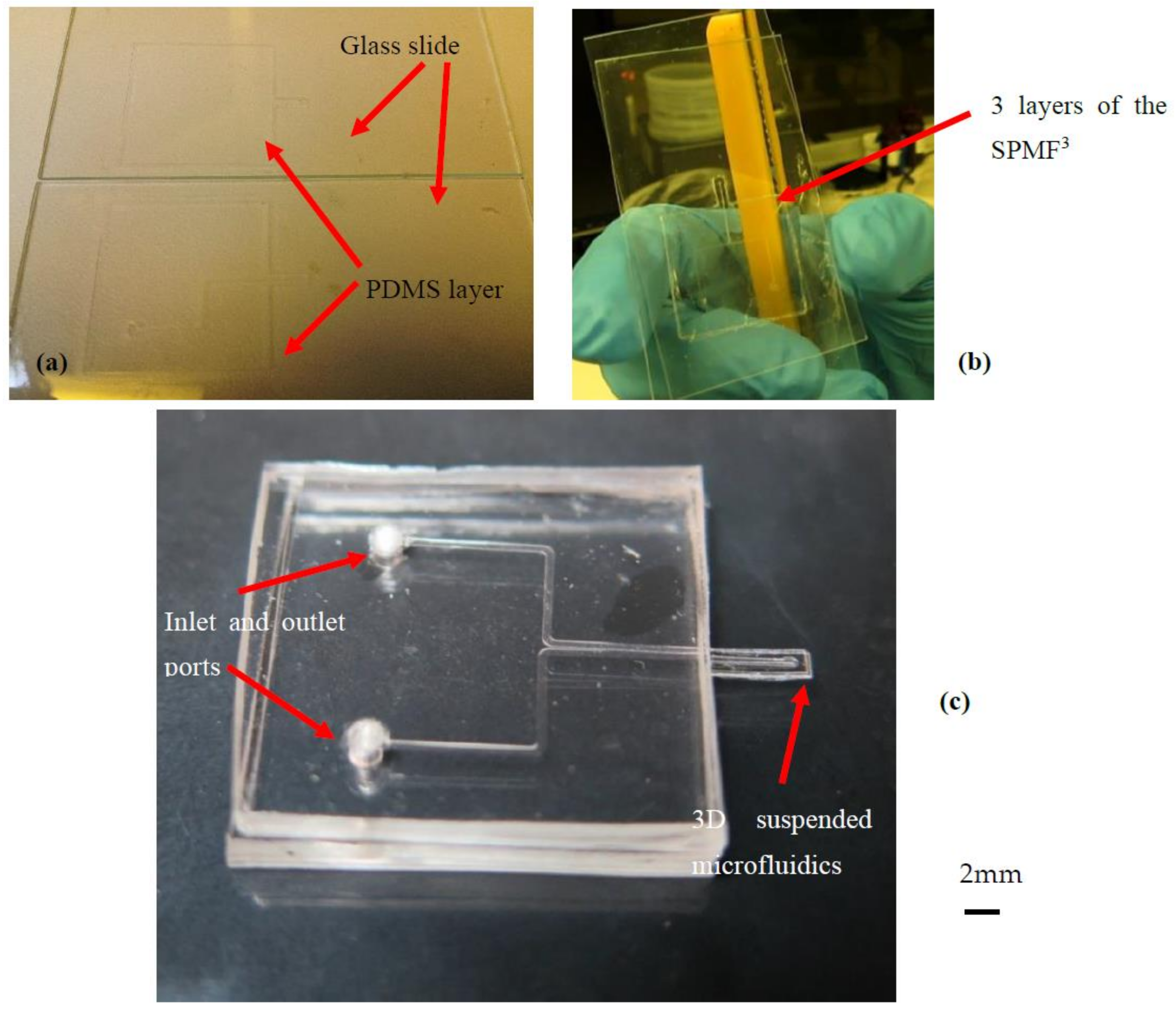 Applsci 12 04626 g006a