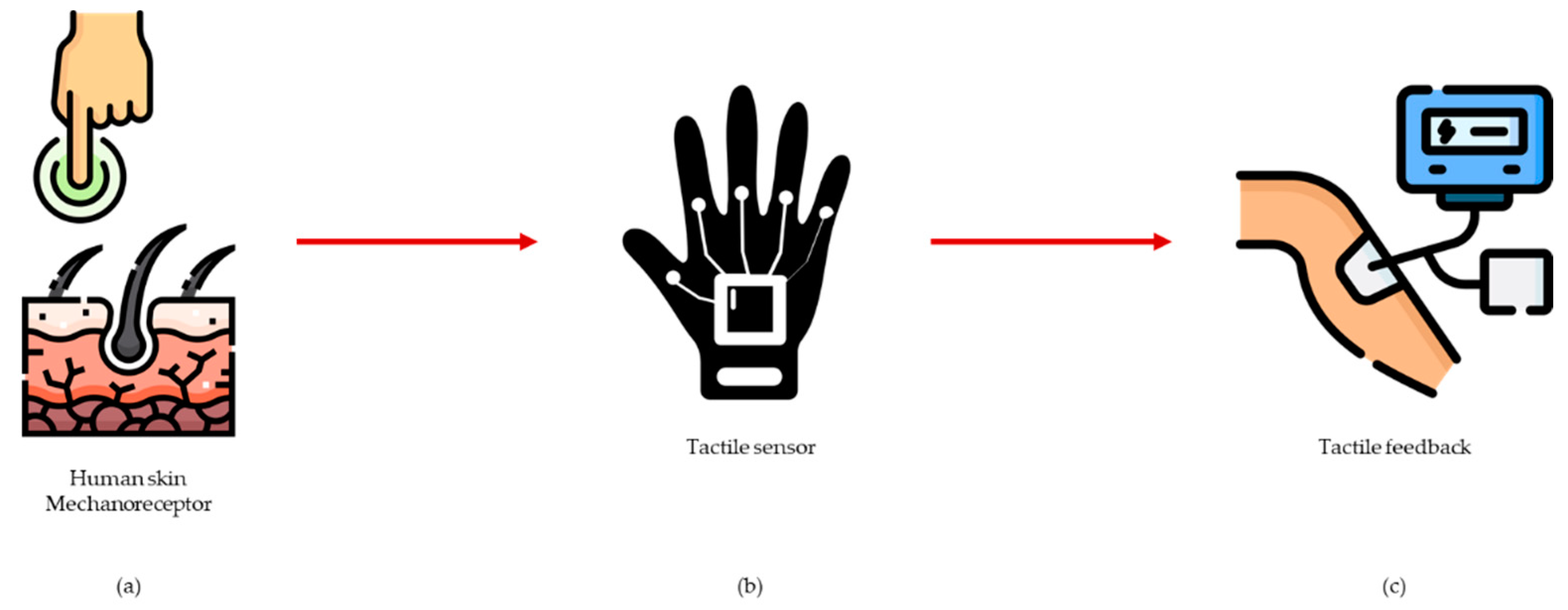 Applied Sciences Free FullText Touch, Texture and Haptic Feedback