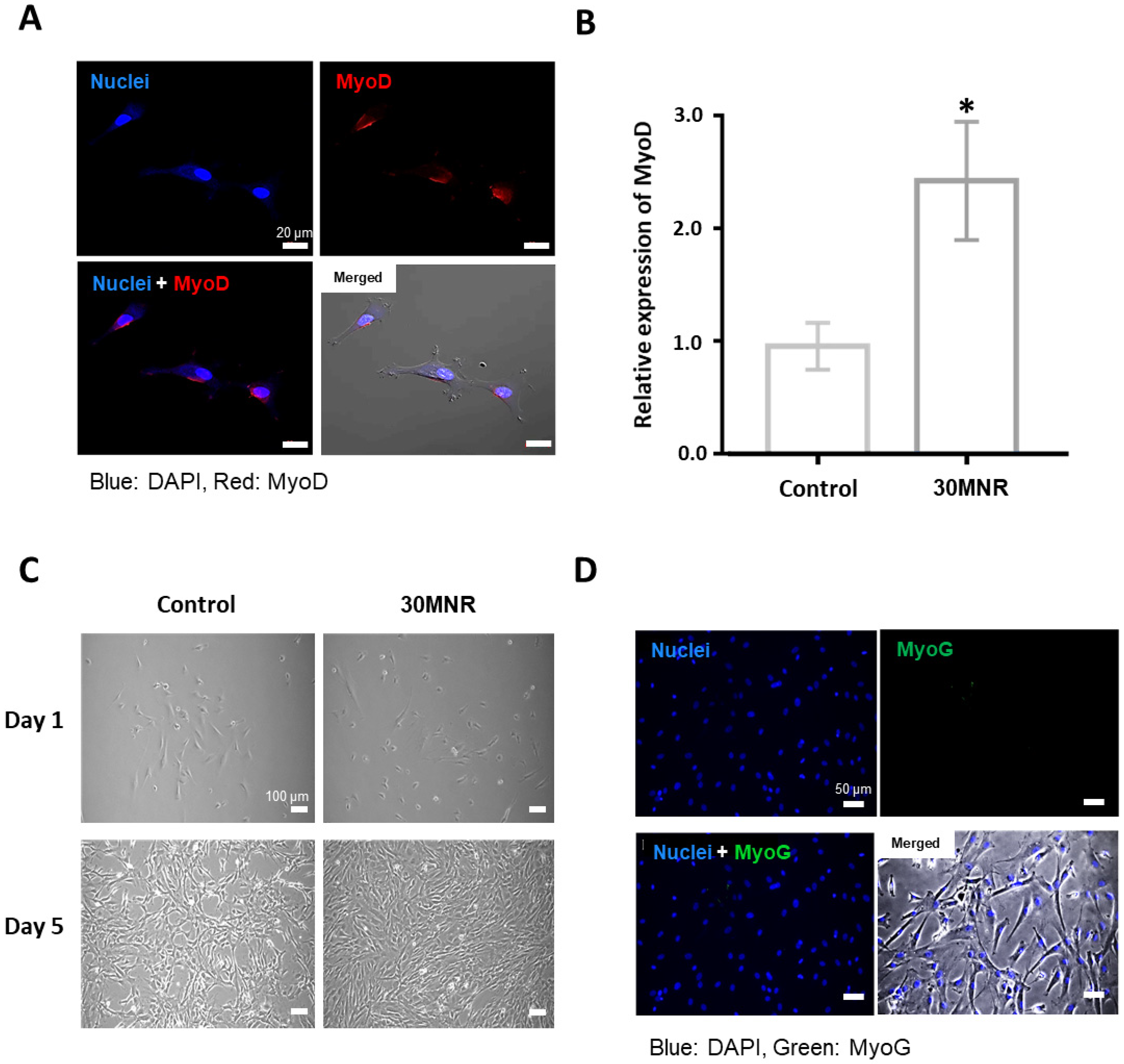 Applsci 12 04688 g002