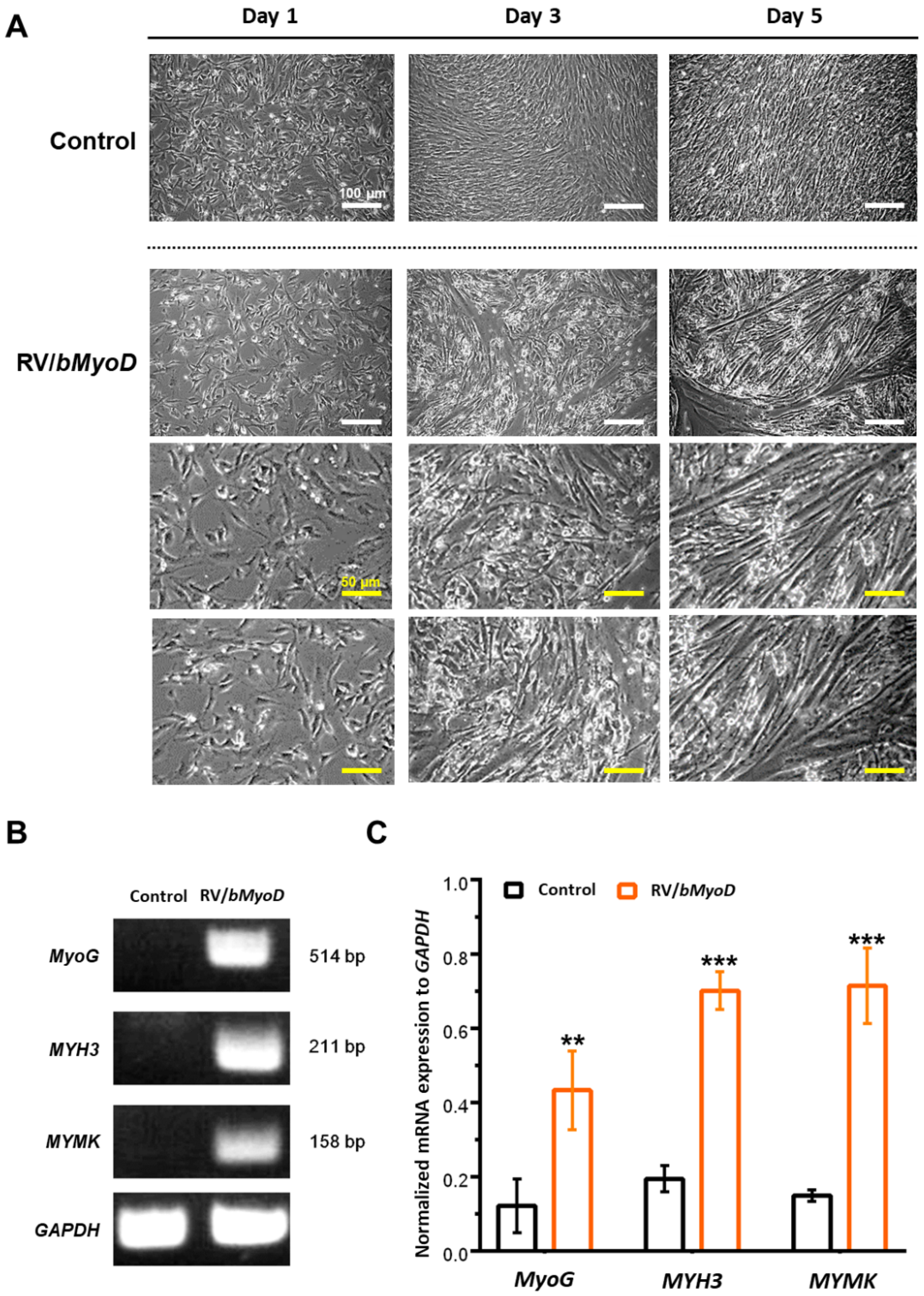 Applsci 12 04688 g004