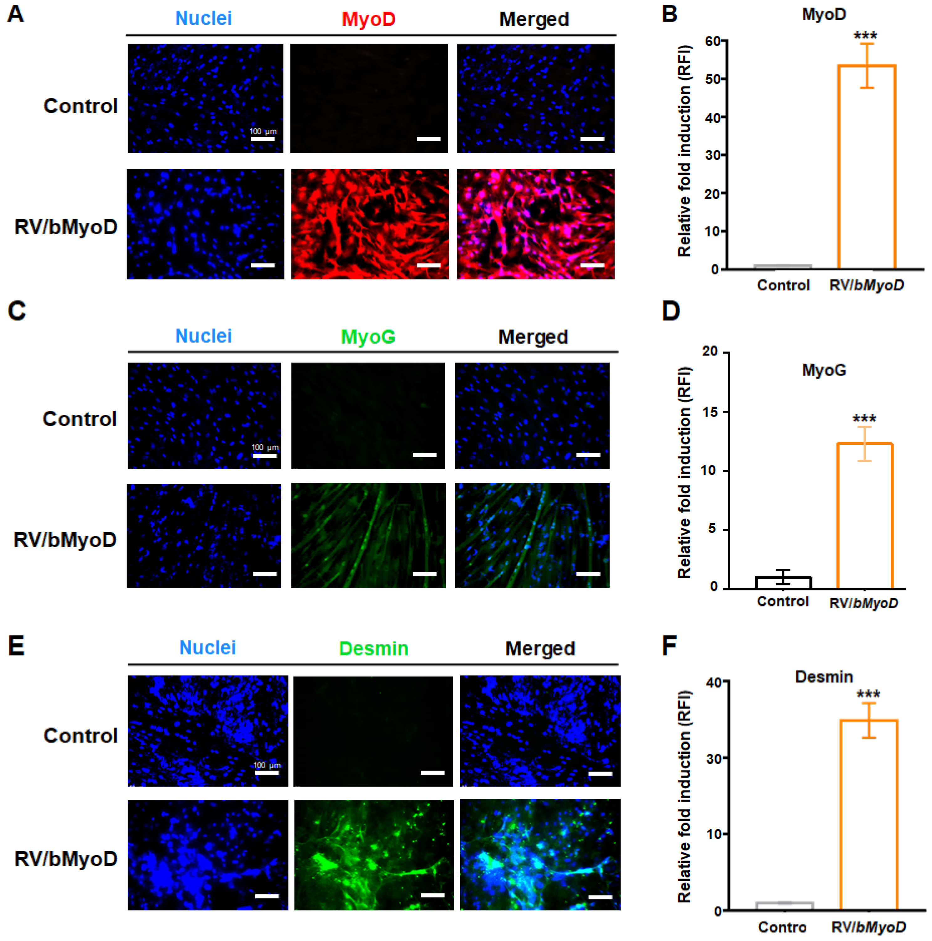 Applsci 12 04688 g005