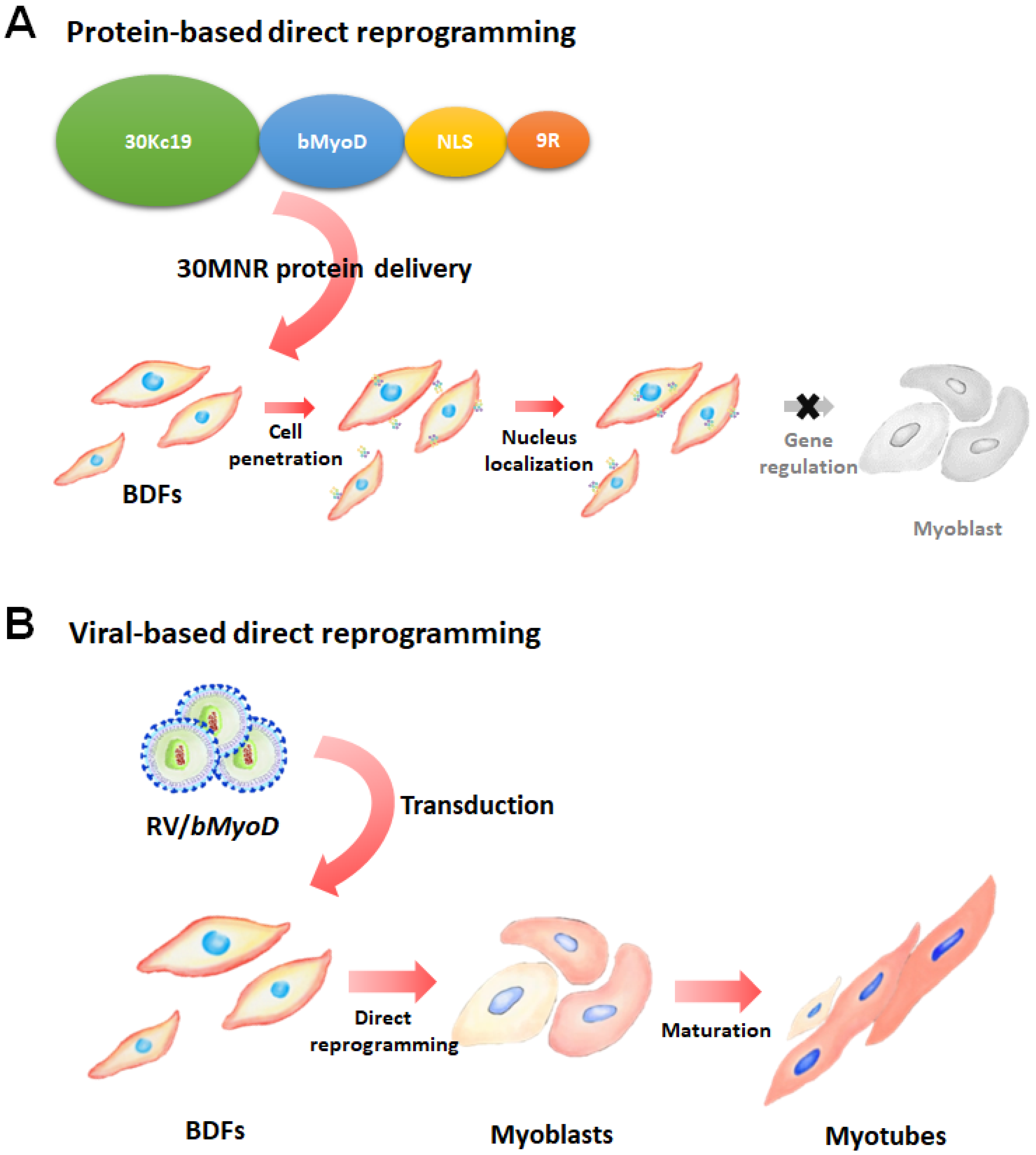 Applsci 12 04688 g006