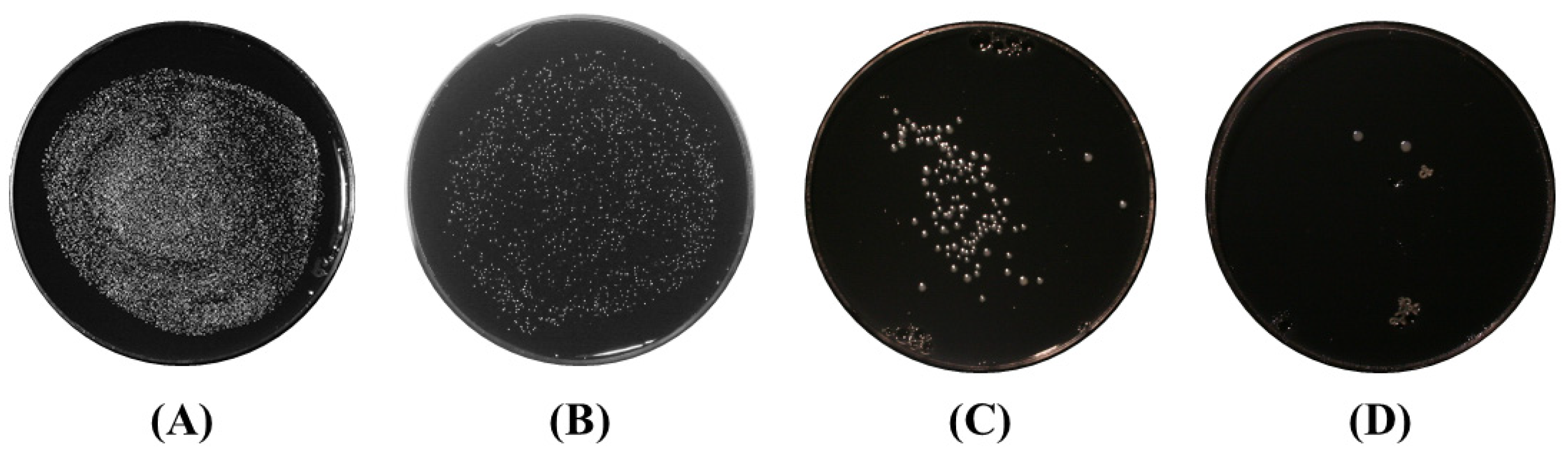 Applsci 12 04711 g006 550