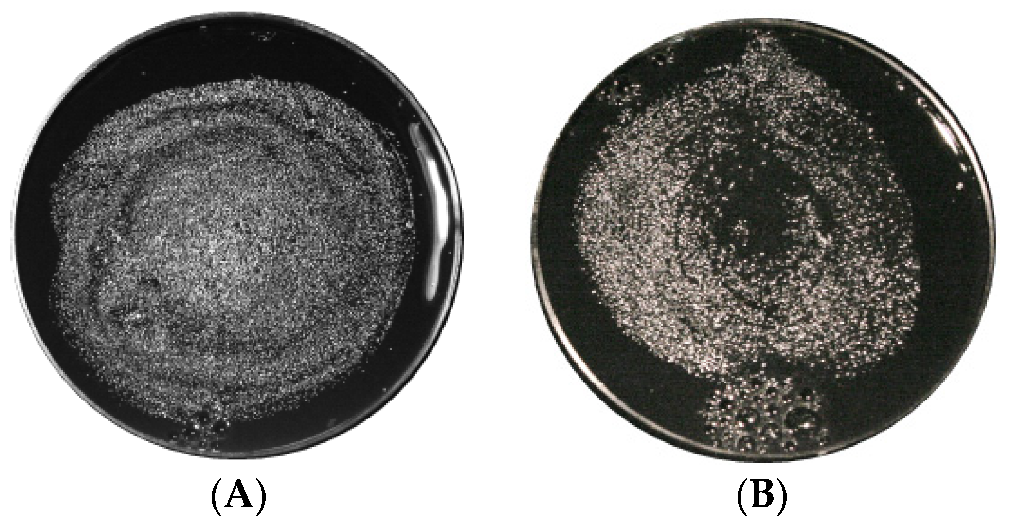 Applsci 12 04711 g007 550