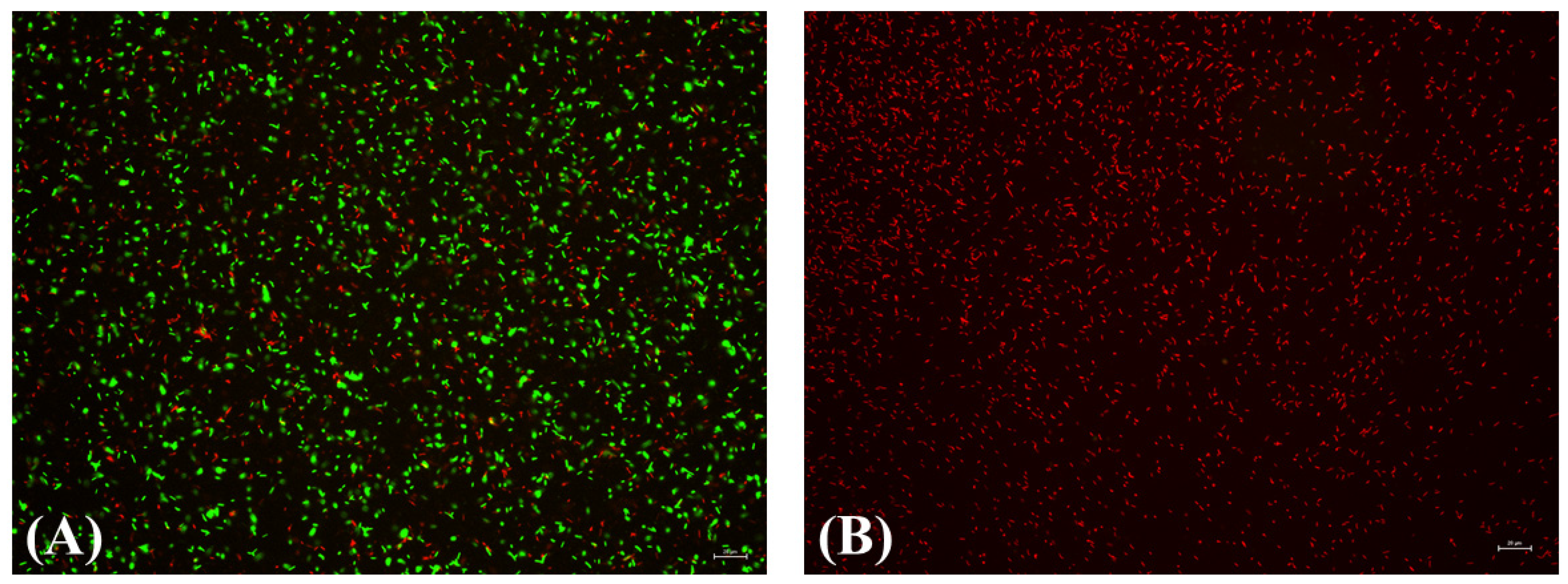 Applsci 12 04711 g008 550