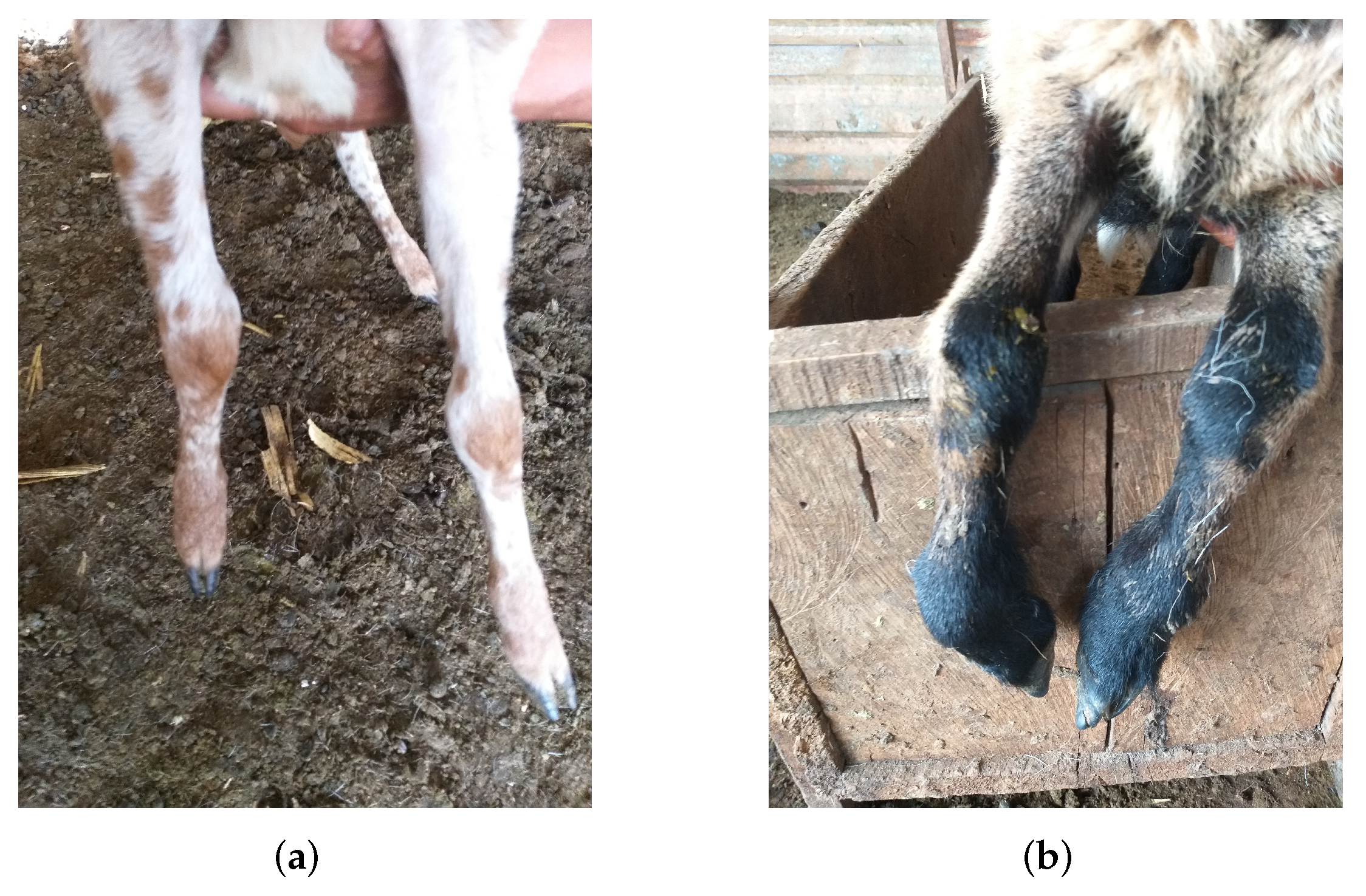 Applsci 12 04712 g003 Applsci 12 04712 g003