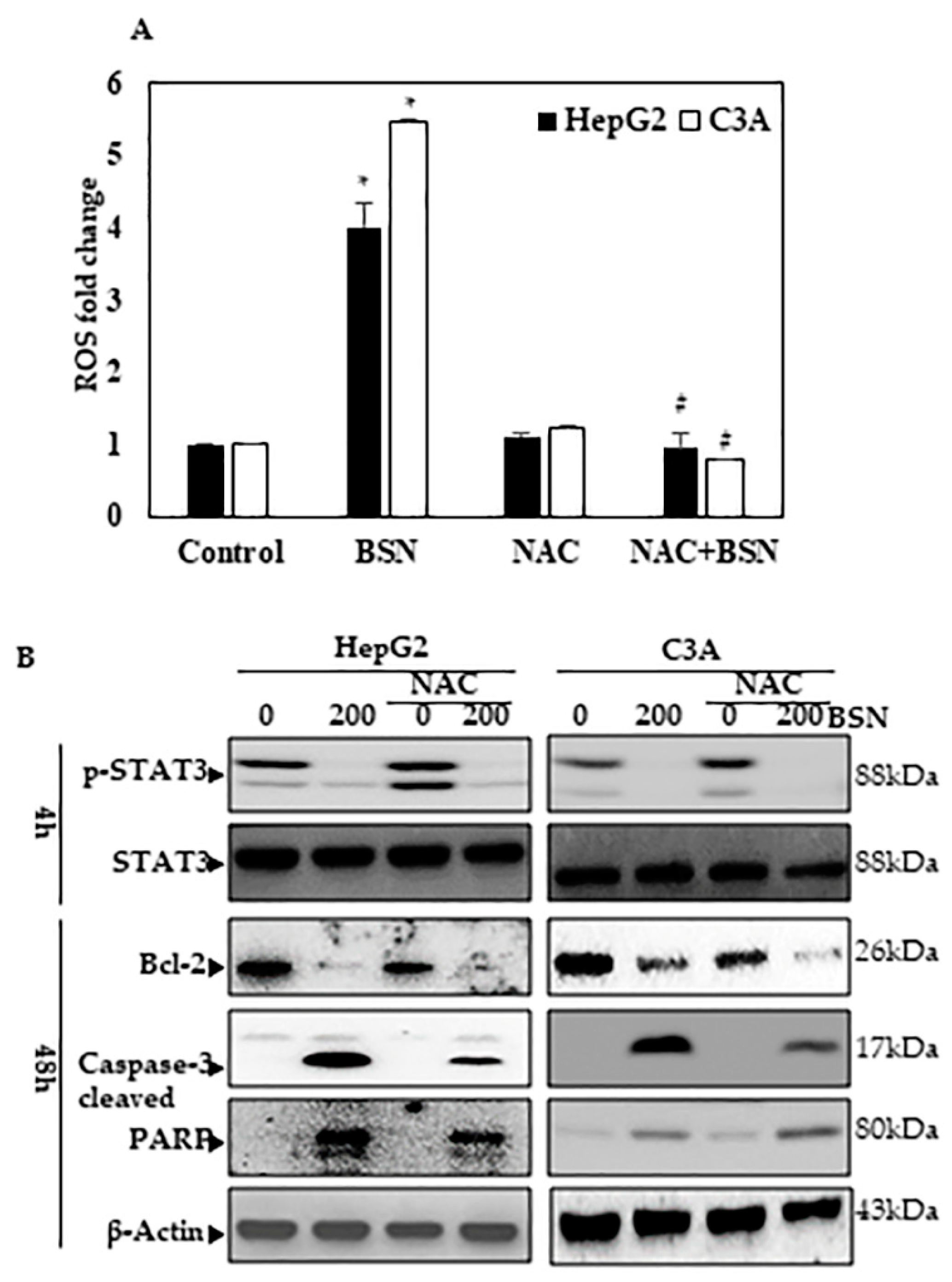 Applsci 12 04733 g003 550