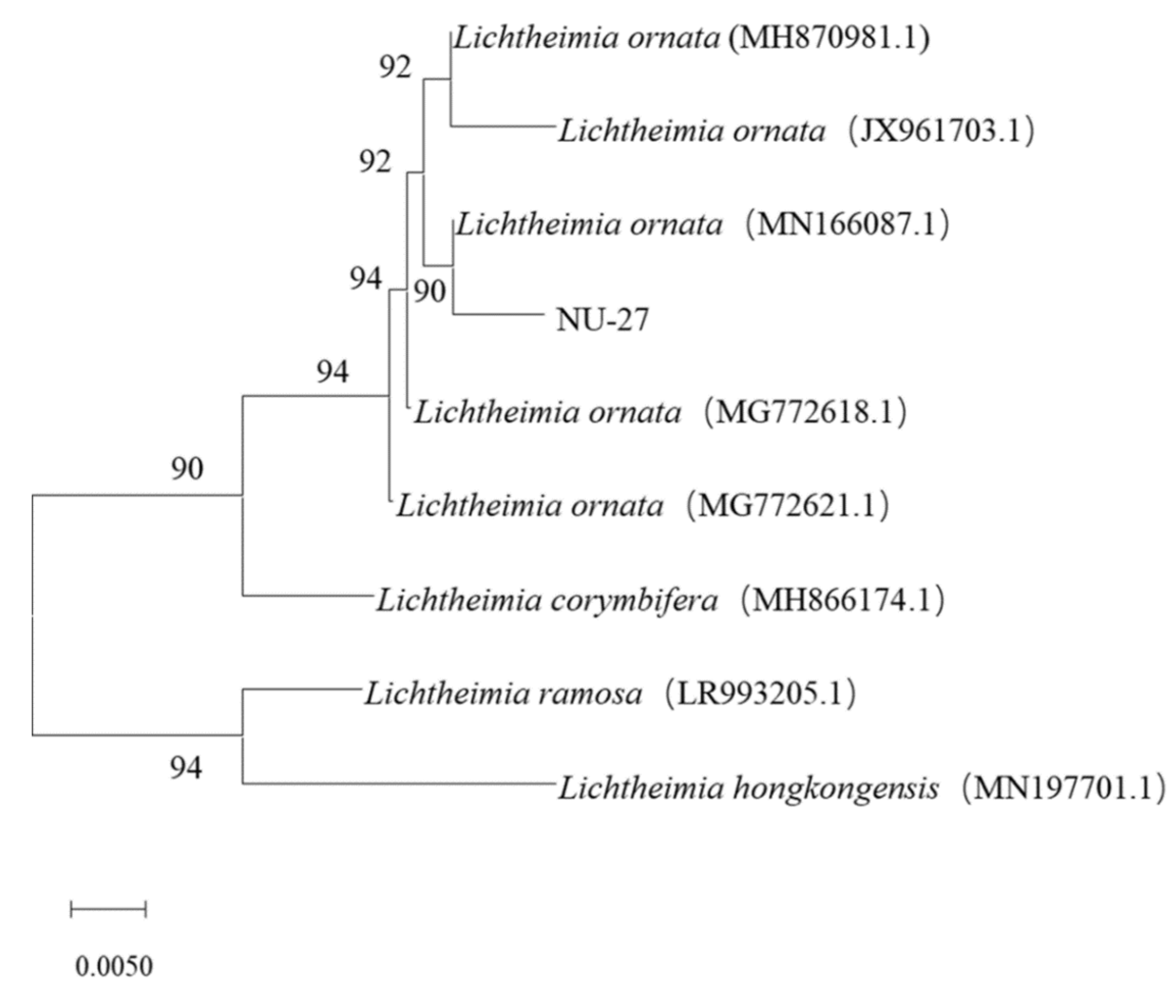 Applsci 12 04741 g004