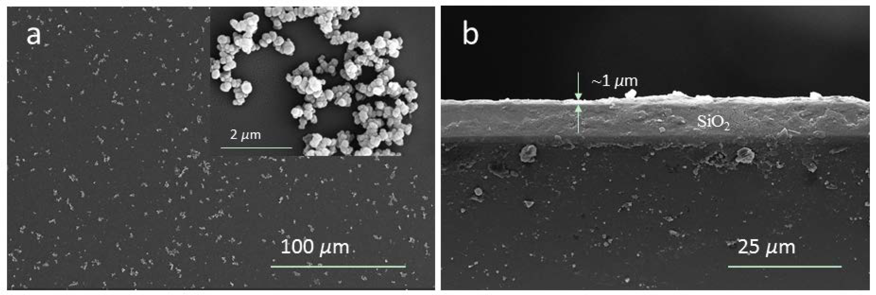 Applsci 12 04771 g003