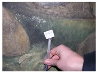 Applsci 12 04810 i007