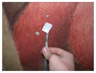 Applsci 12 04810 i013