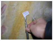 Applsci 12 04810 i014