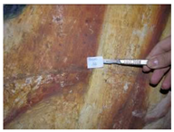 Applsci 12 04810 i016