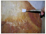 Applsci 12 04810 i017