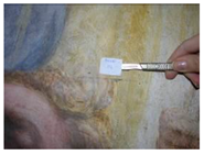 Applsci 12 04810 i019