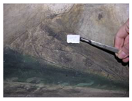 Applsci 12 04810 i021