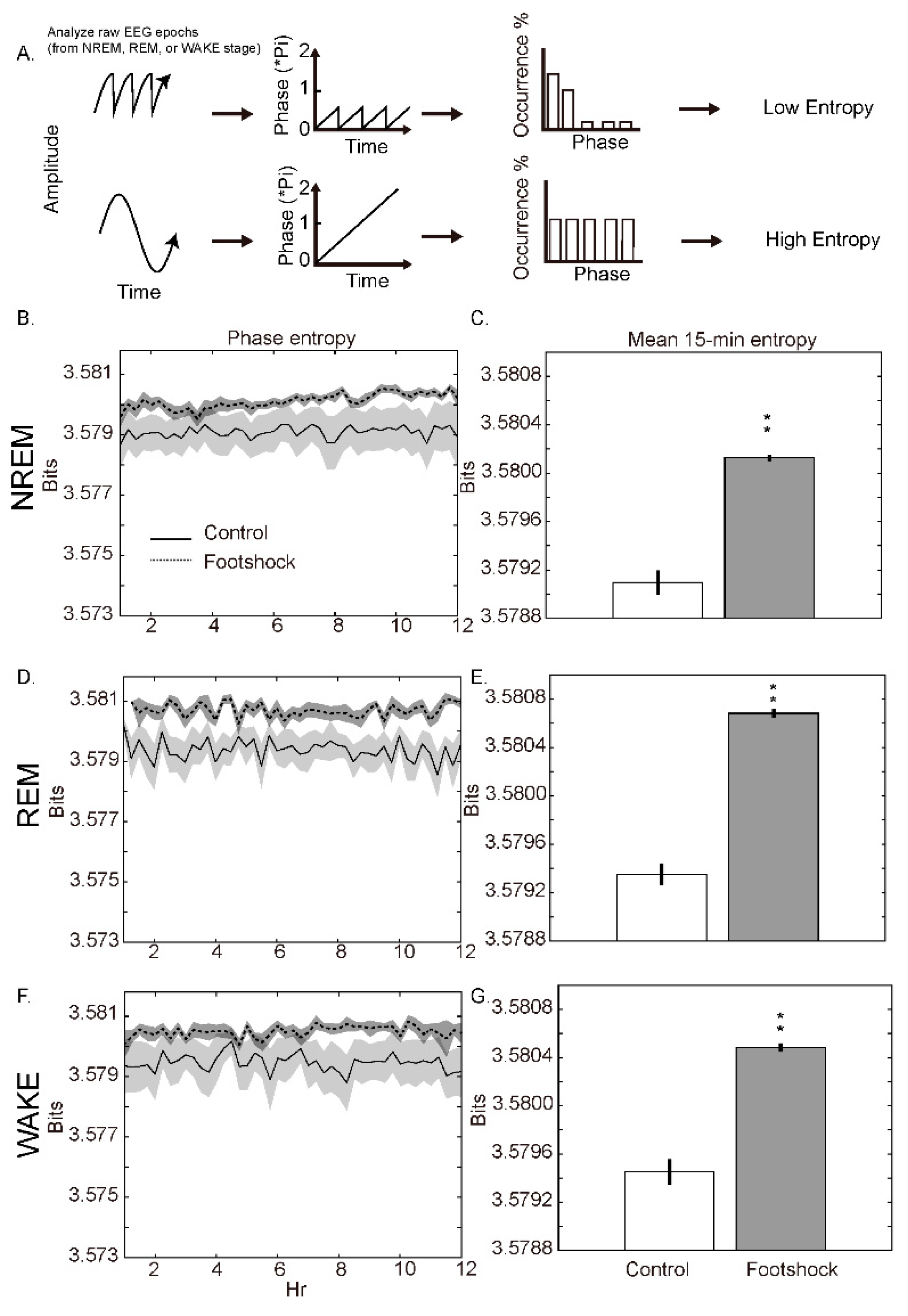 Applsci 12 04812 g005