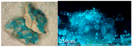 Applsci 12 04814 i002