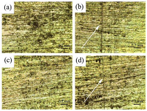 Transparent and Scratch-Resistant Antifogging Coatings with Rapid  Self-Healing Capability