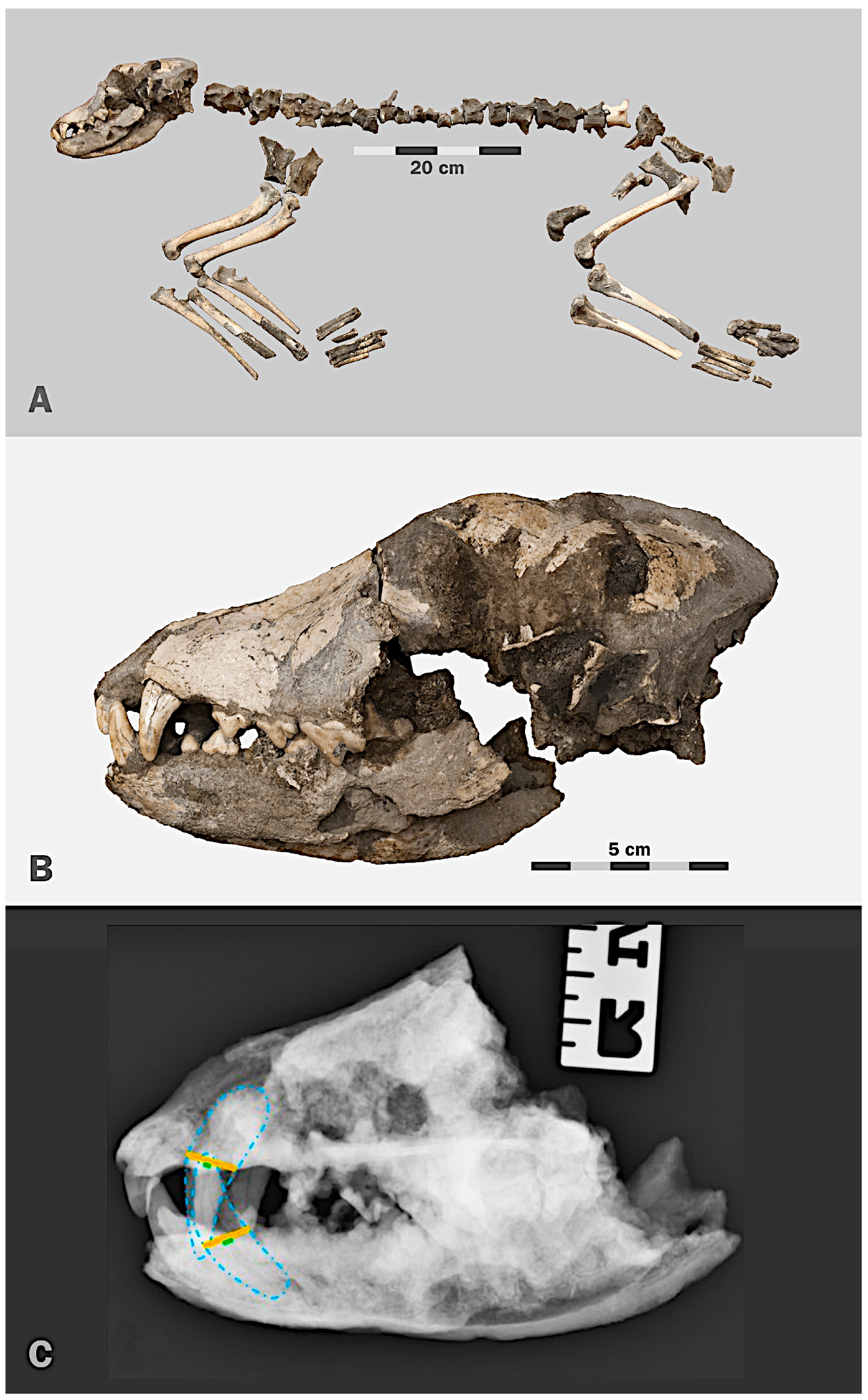 Applsci 12 04867 g002