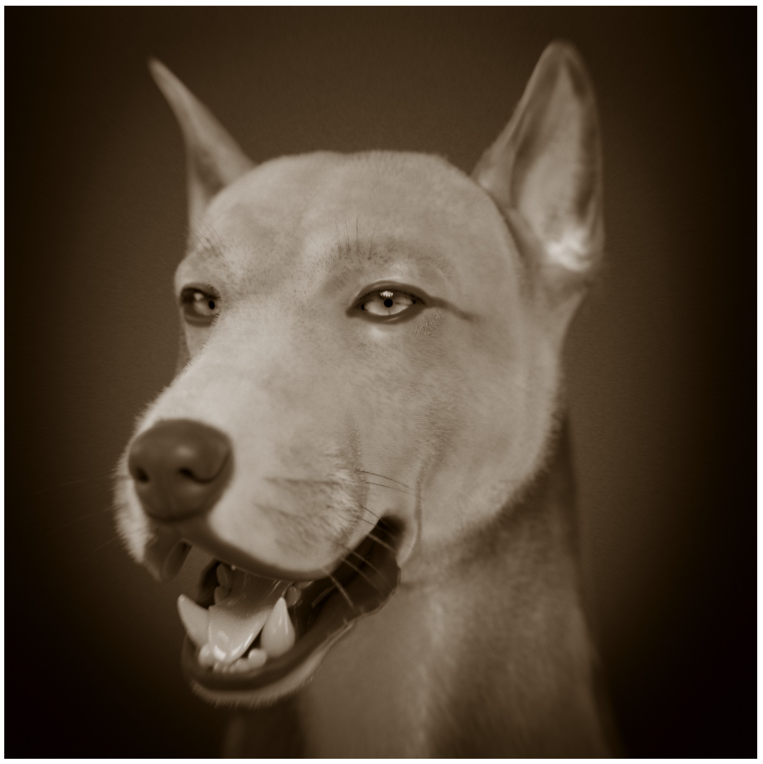 Applsci 12 04867 g004