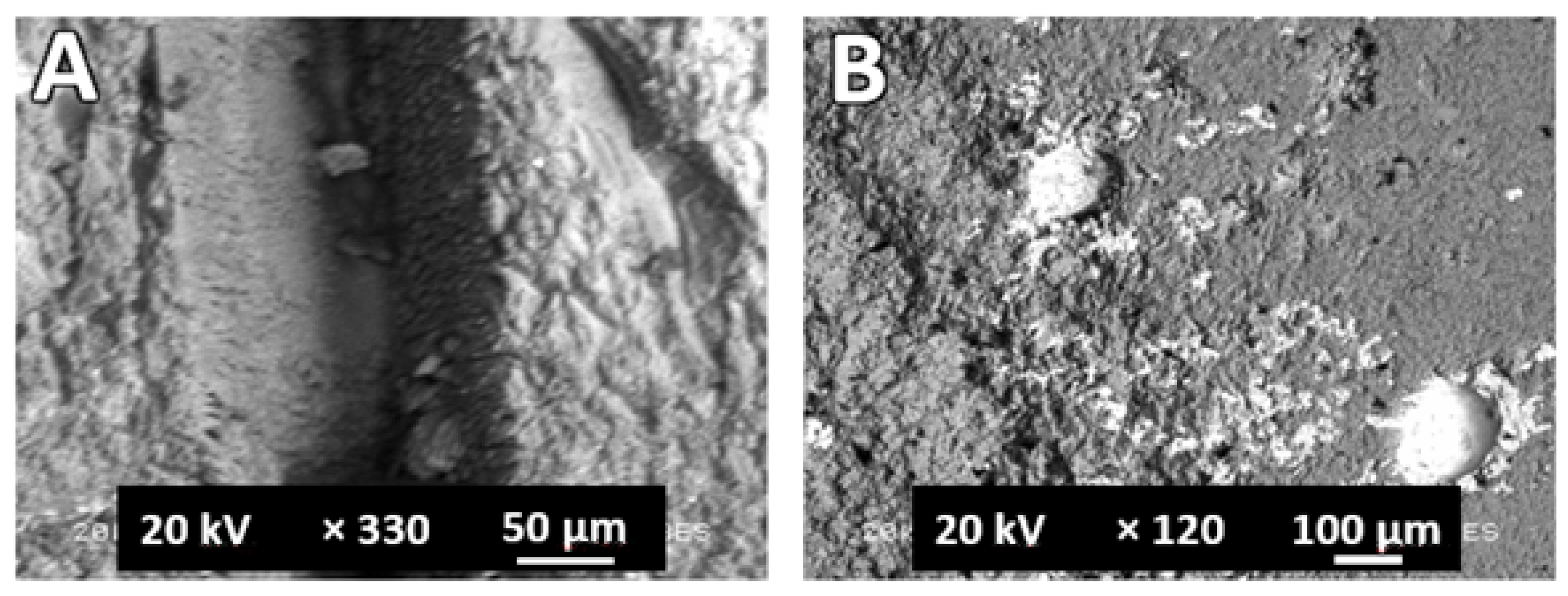 Applsci 12 04869 g011