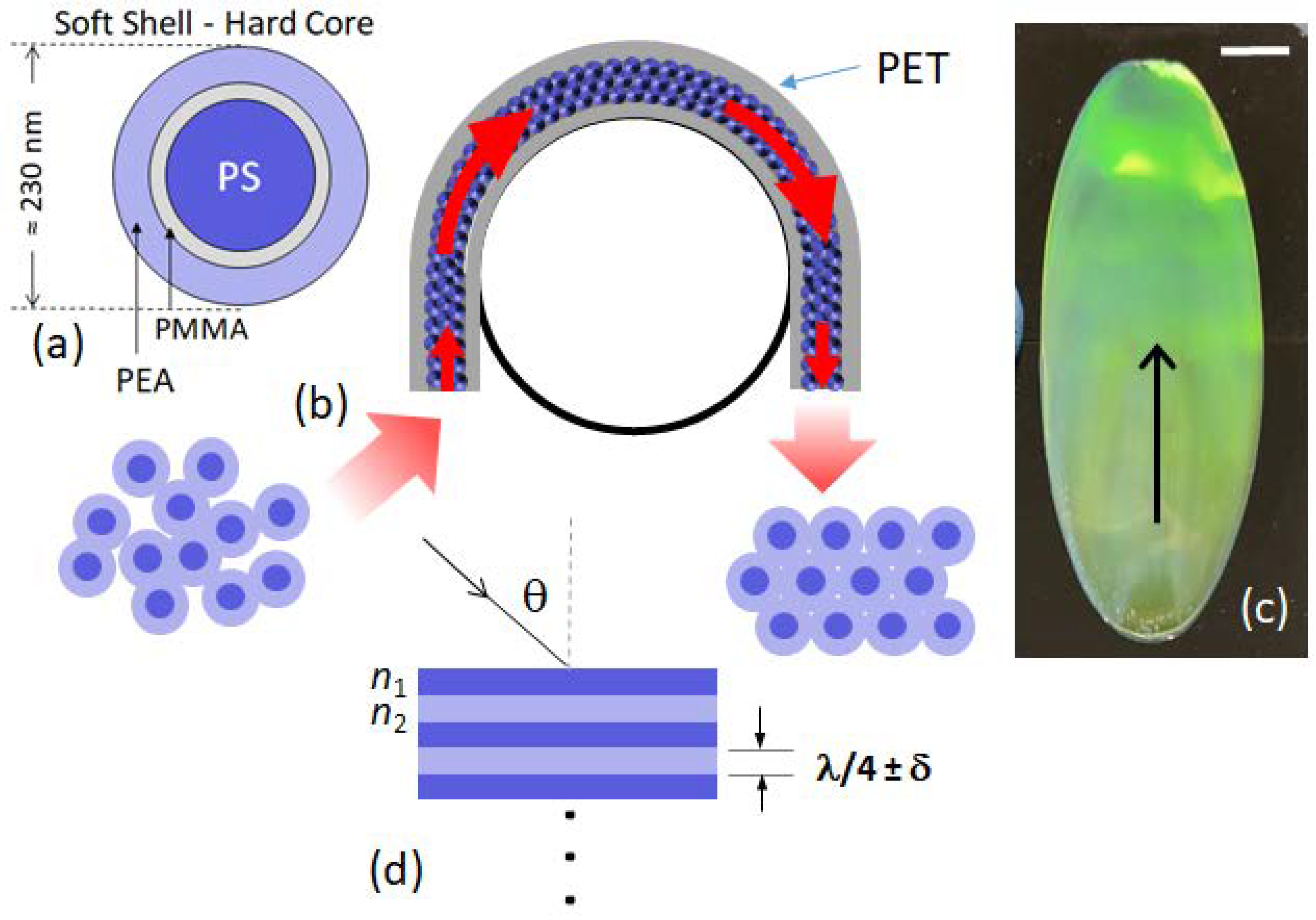 Applsci 12 04888 g001