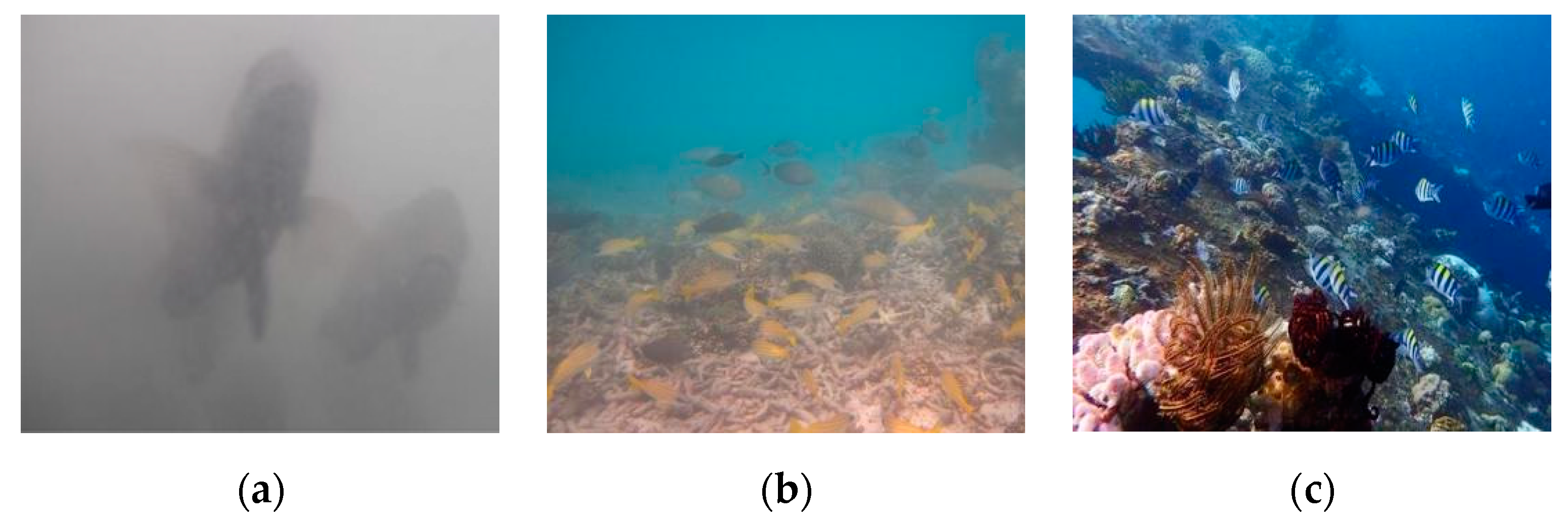 Applsci 12 04898 g002