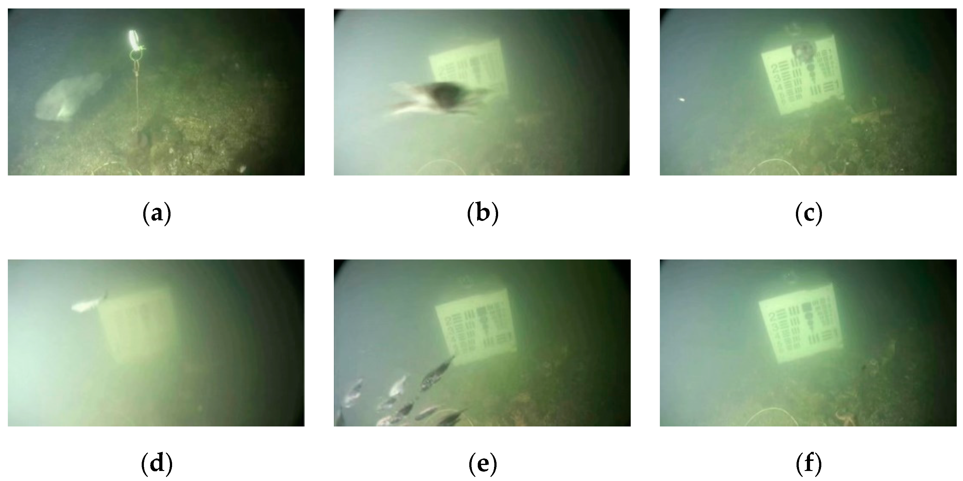 Applsci 12 04898 g007