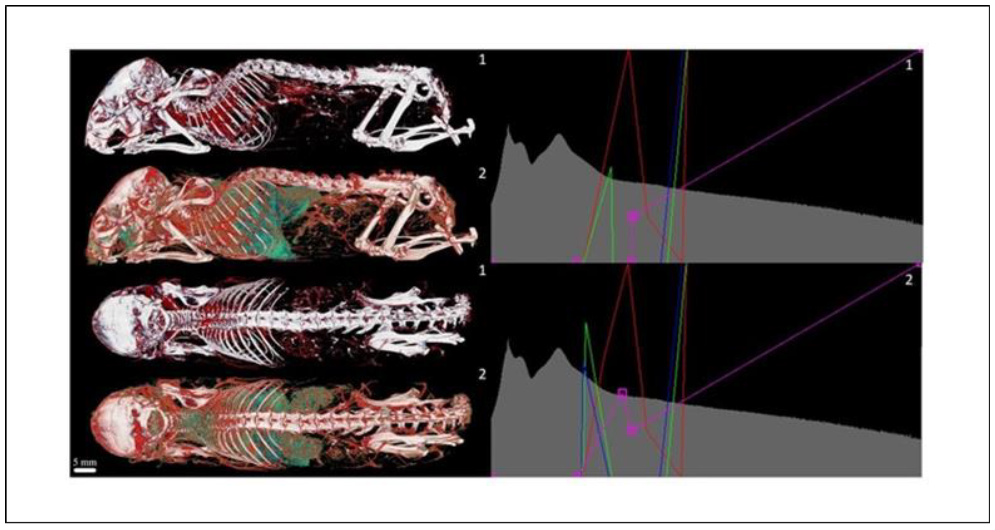 Applsci 12 04918 g011 Applsci 12 04918 g011