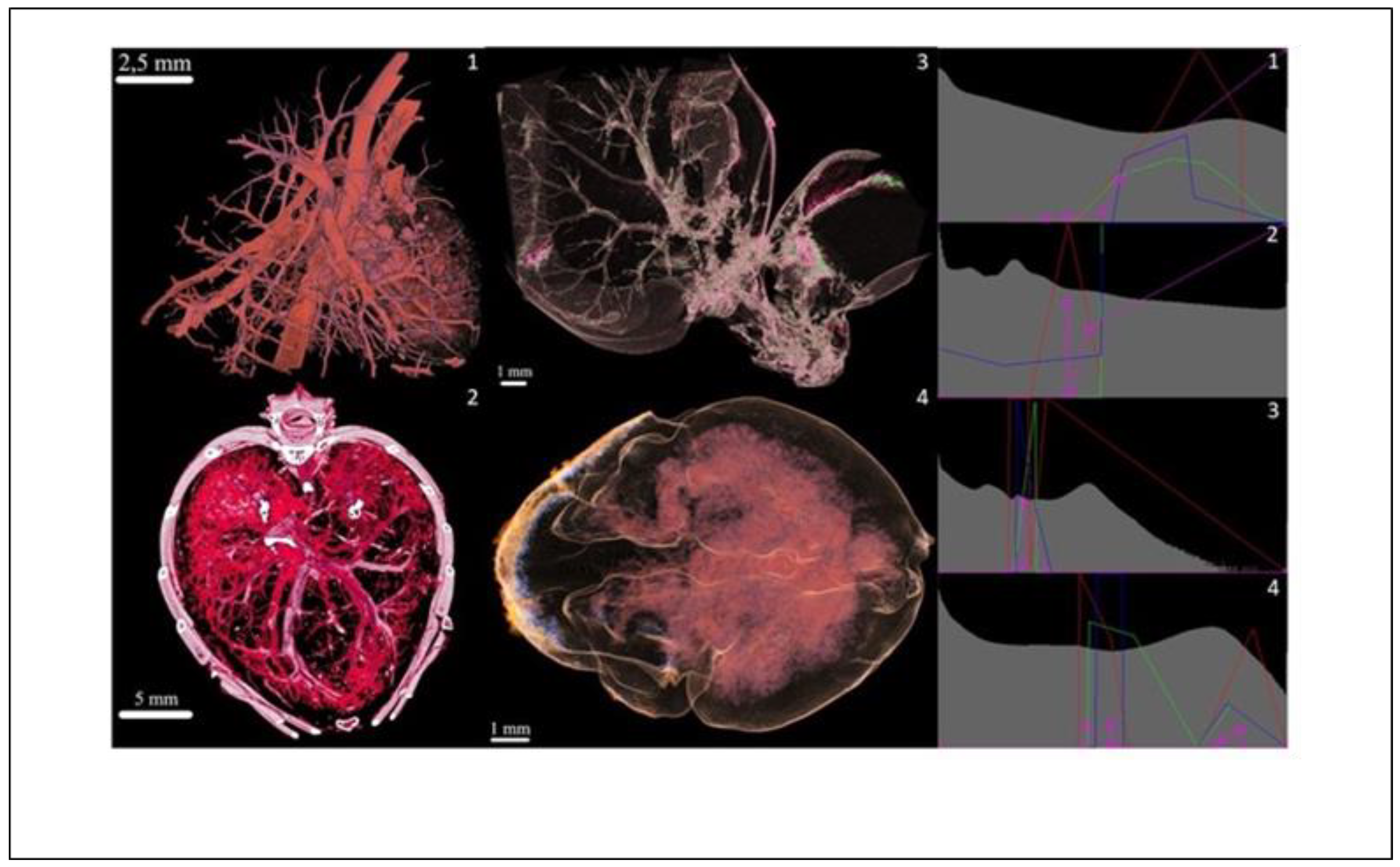 Applsci 12 04918 g012 Applsci 12 04918 g012