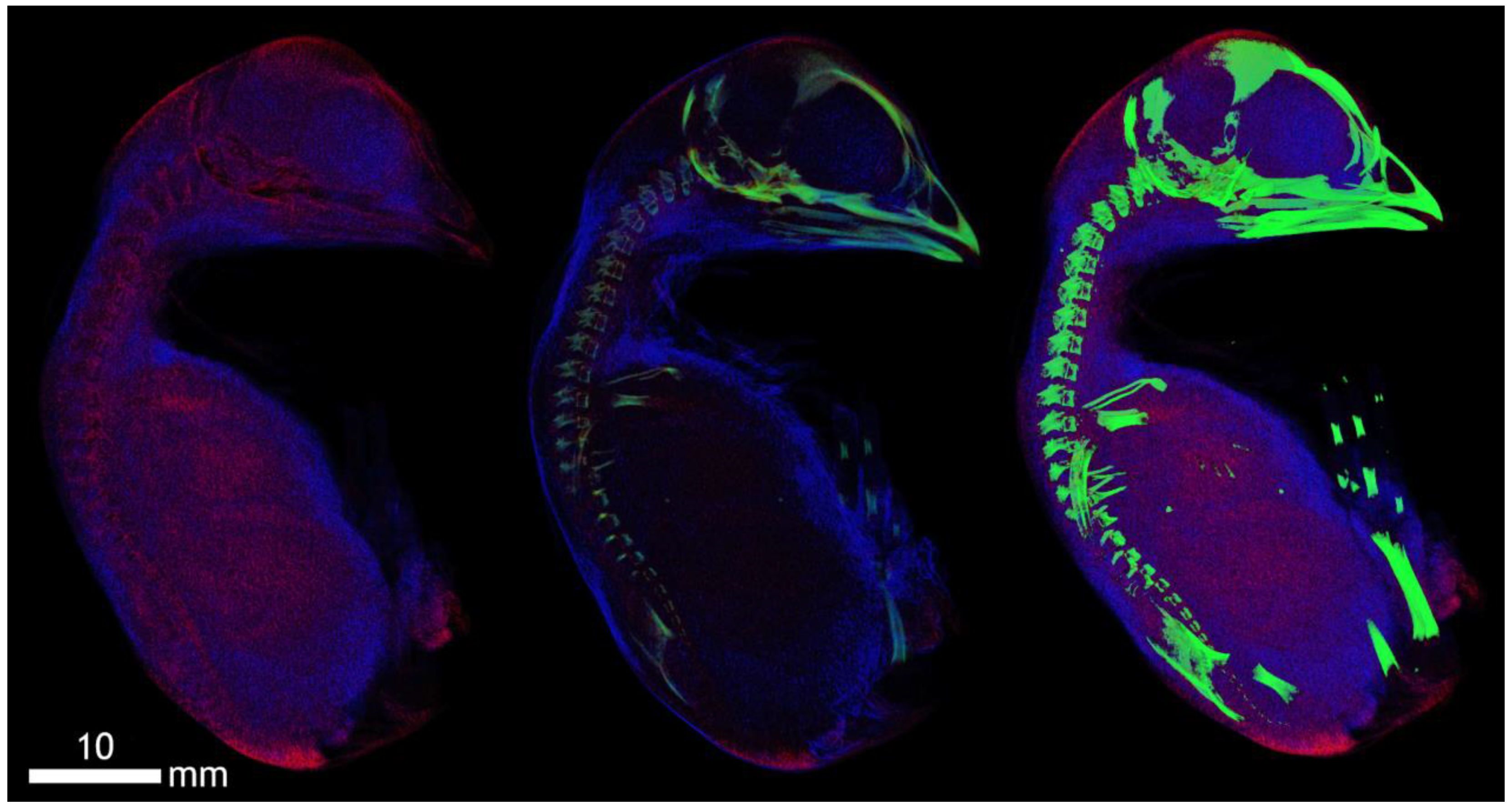 Applsci 12 04918 g0a1 Applsci 12 04918 g0a1