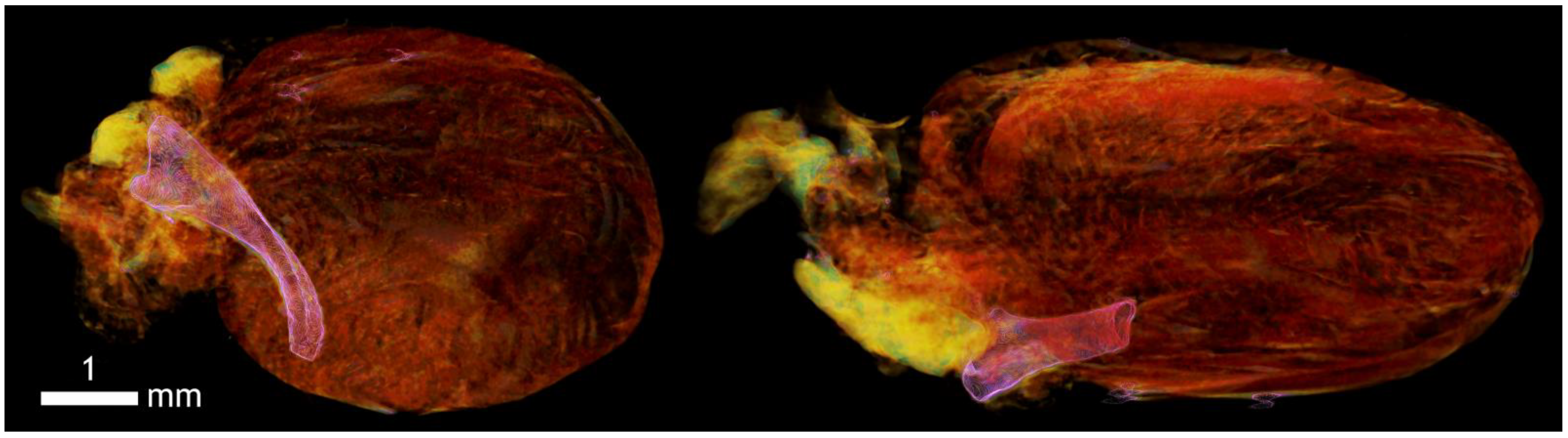 Applsci 12 04918 g0a11 Applsci 12 04918 g0a11