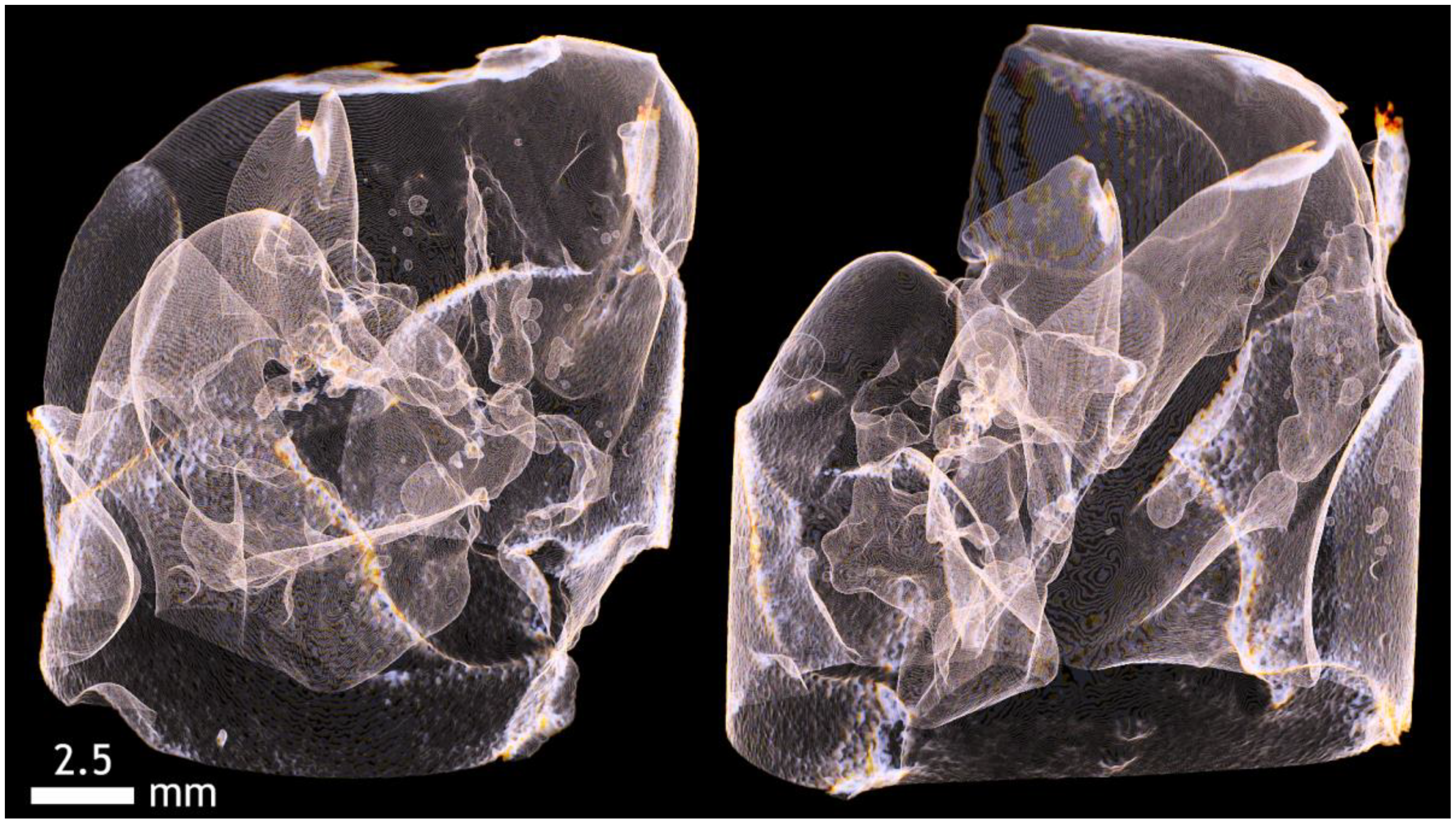 Applsci 12 04918 g0a12 Applsci 12 04918 g0a12