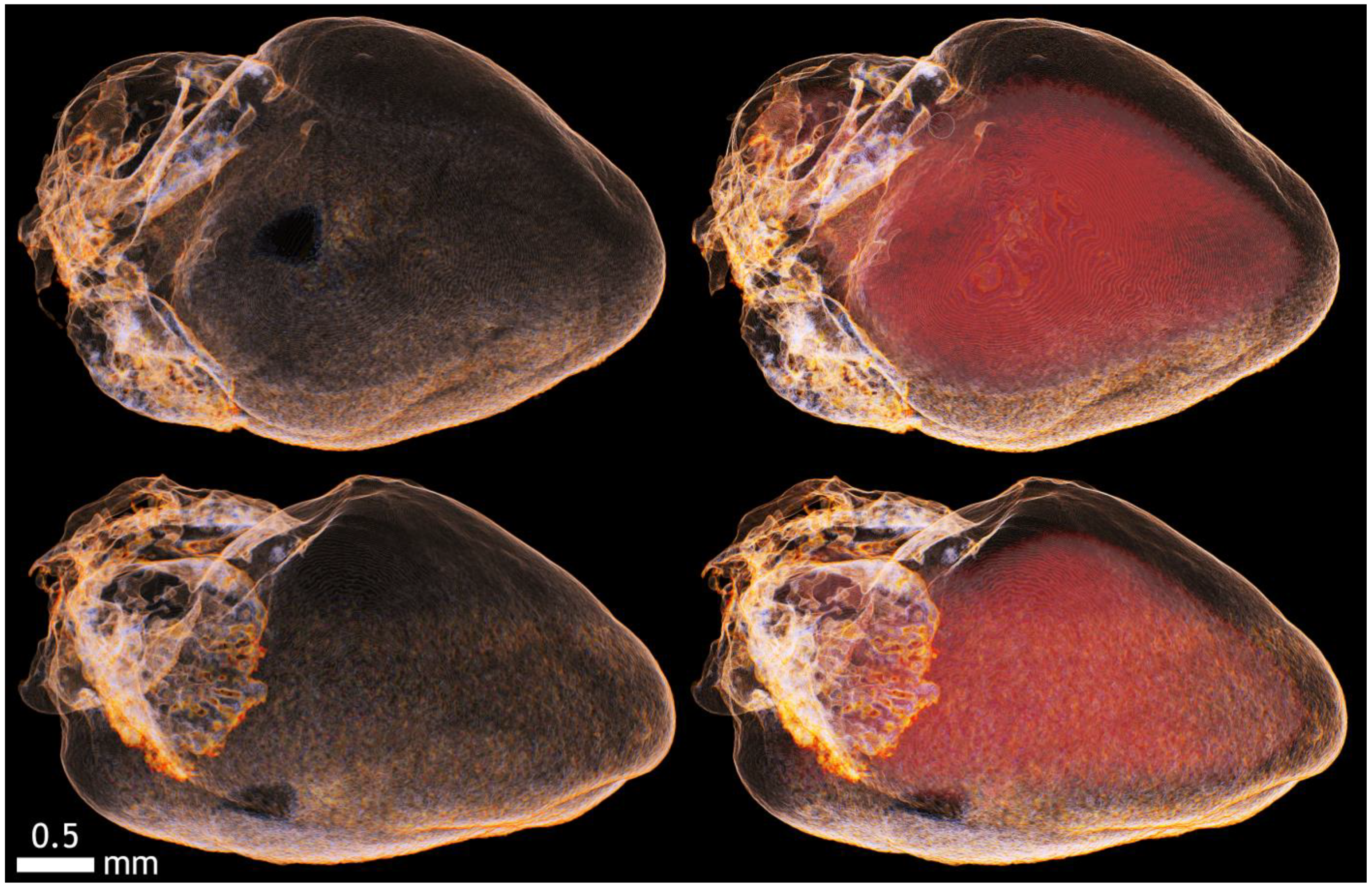 Applsci 12 04918 g0a15 Applsci 12 04918 g0a15