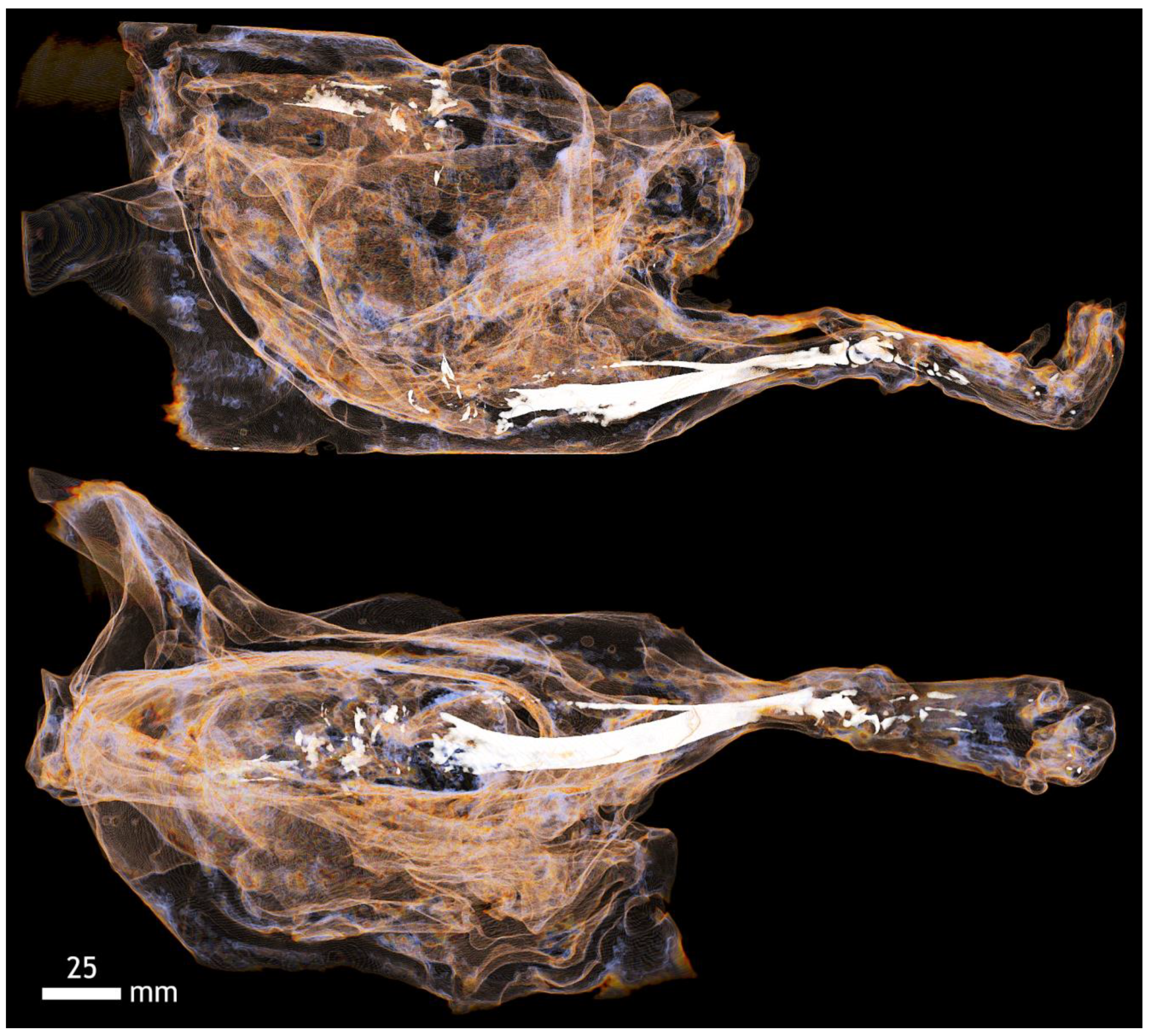 Applsci 12 04918 g0a16 Applsci 12 04918 g0a16