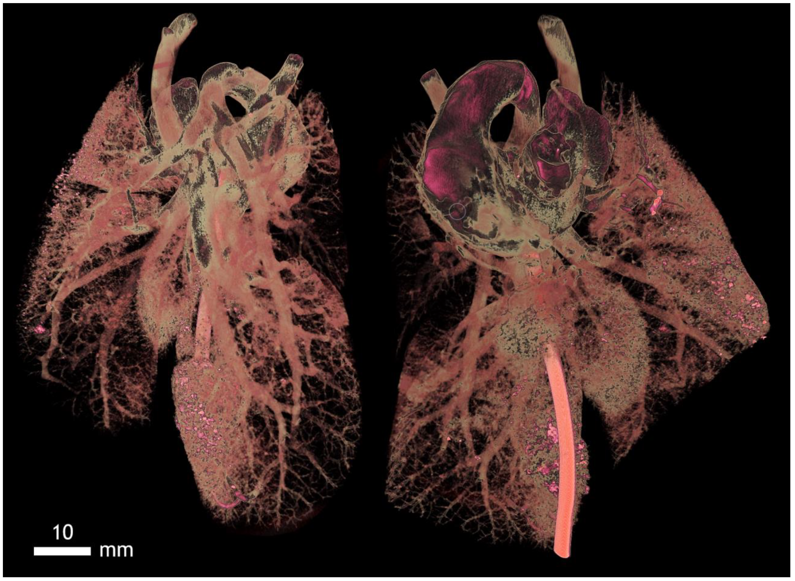 Applsci 12 04918 g0a17 Applsci 12 04918 g0a17