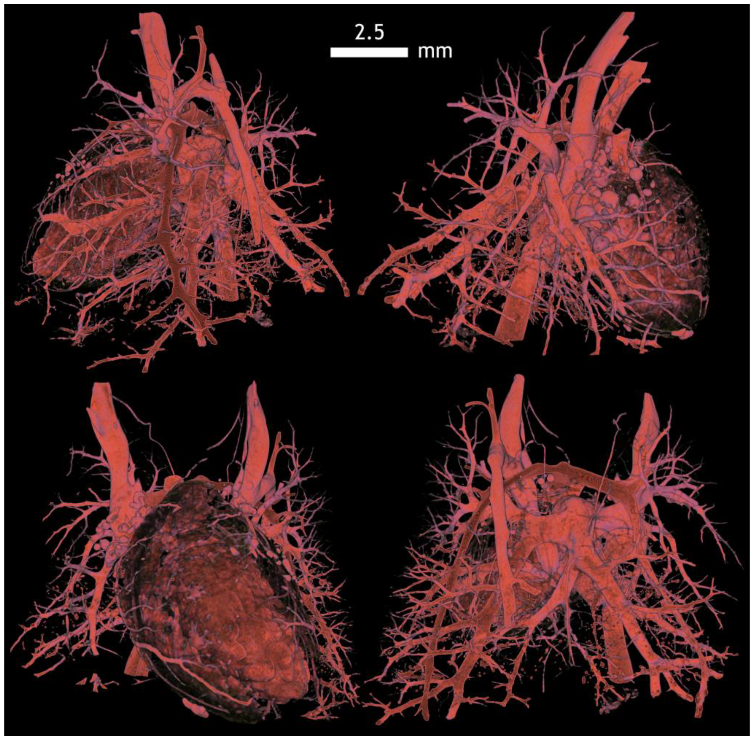 Applsci 12 04918 g0a18 Applsci 12 04918 g0a18