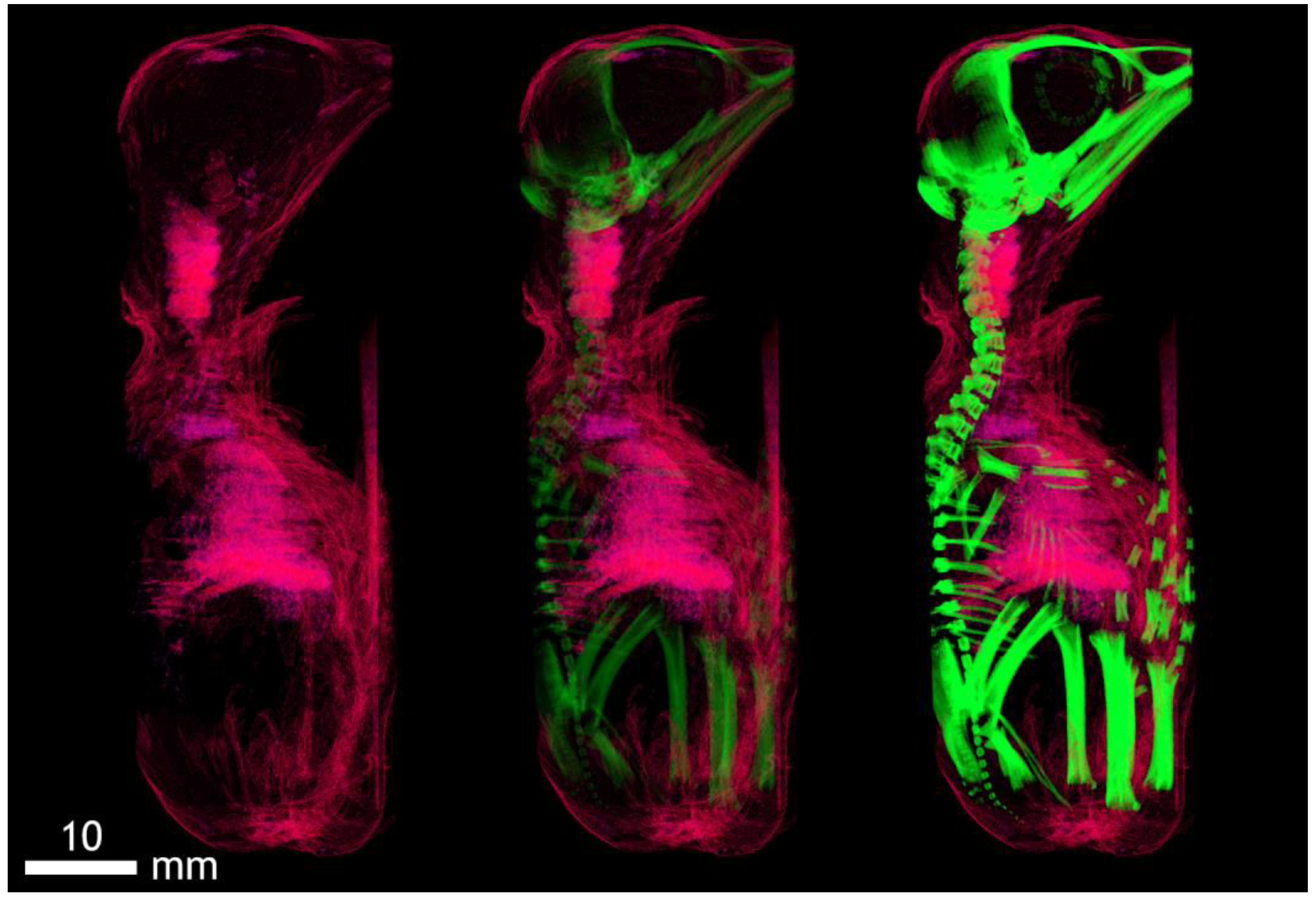 Applsci 12 04918 g0a2 Applsci 12 04918 g0a2