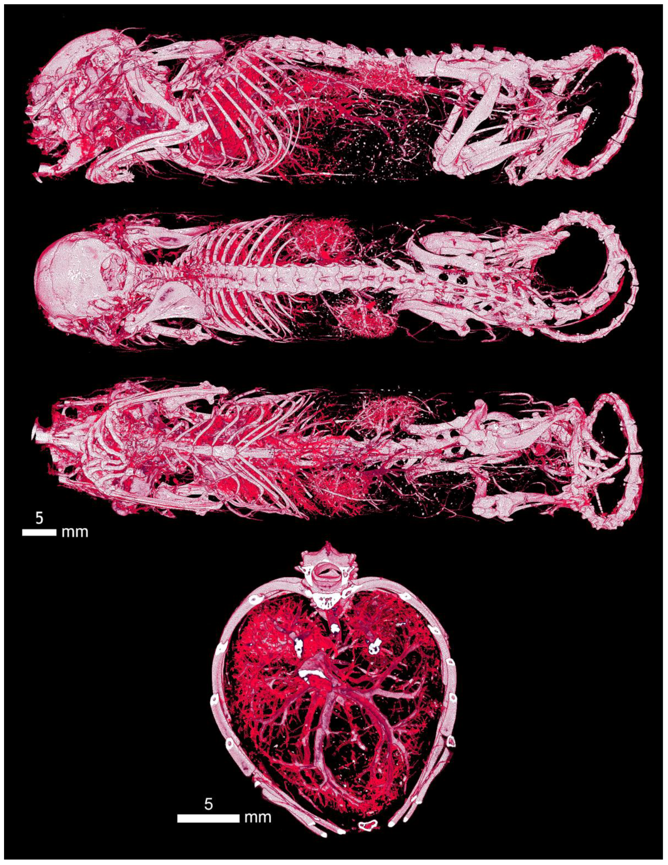 Applsci 12 04918 g0a3 Applsci 12 04918 g0a3