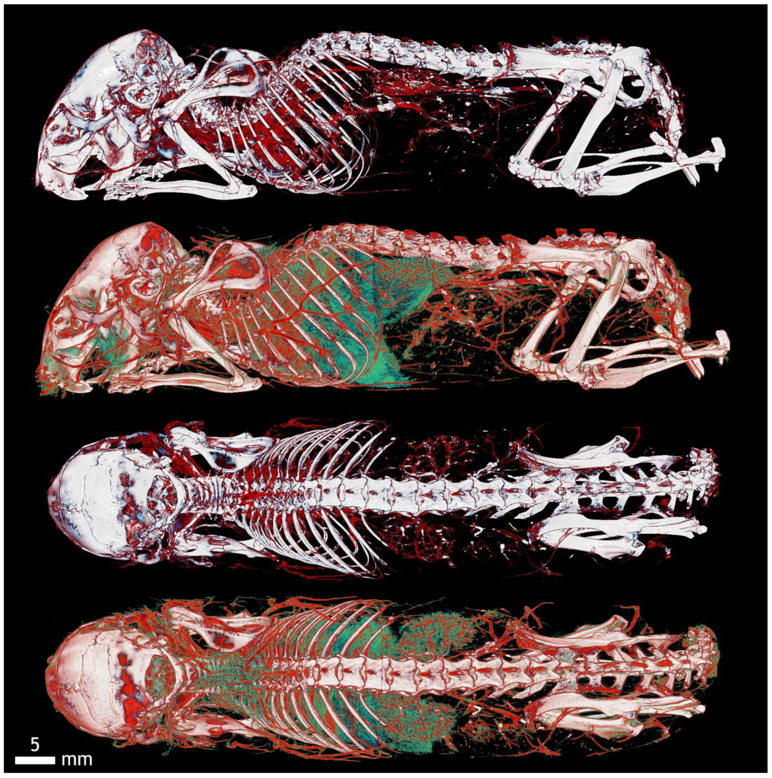 Applsci 12 04918 g0a4 Applsci 12 04918 g0a4