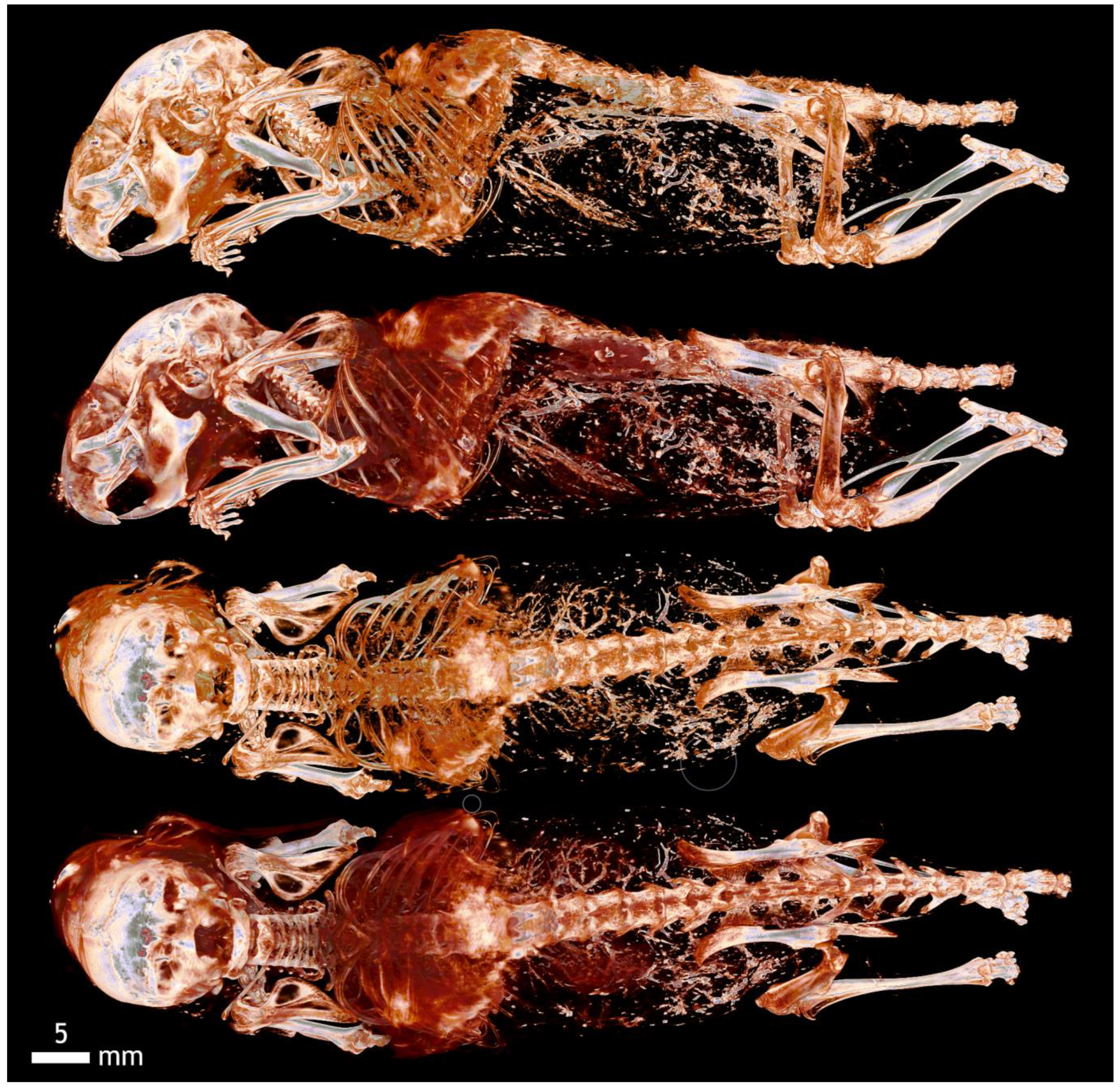 Applsci 12 04918 g0a6 Applsci 12 04918 g0a6