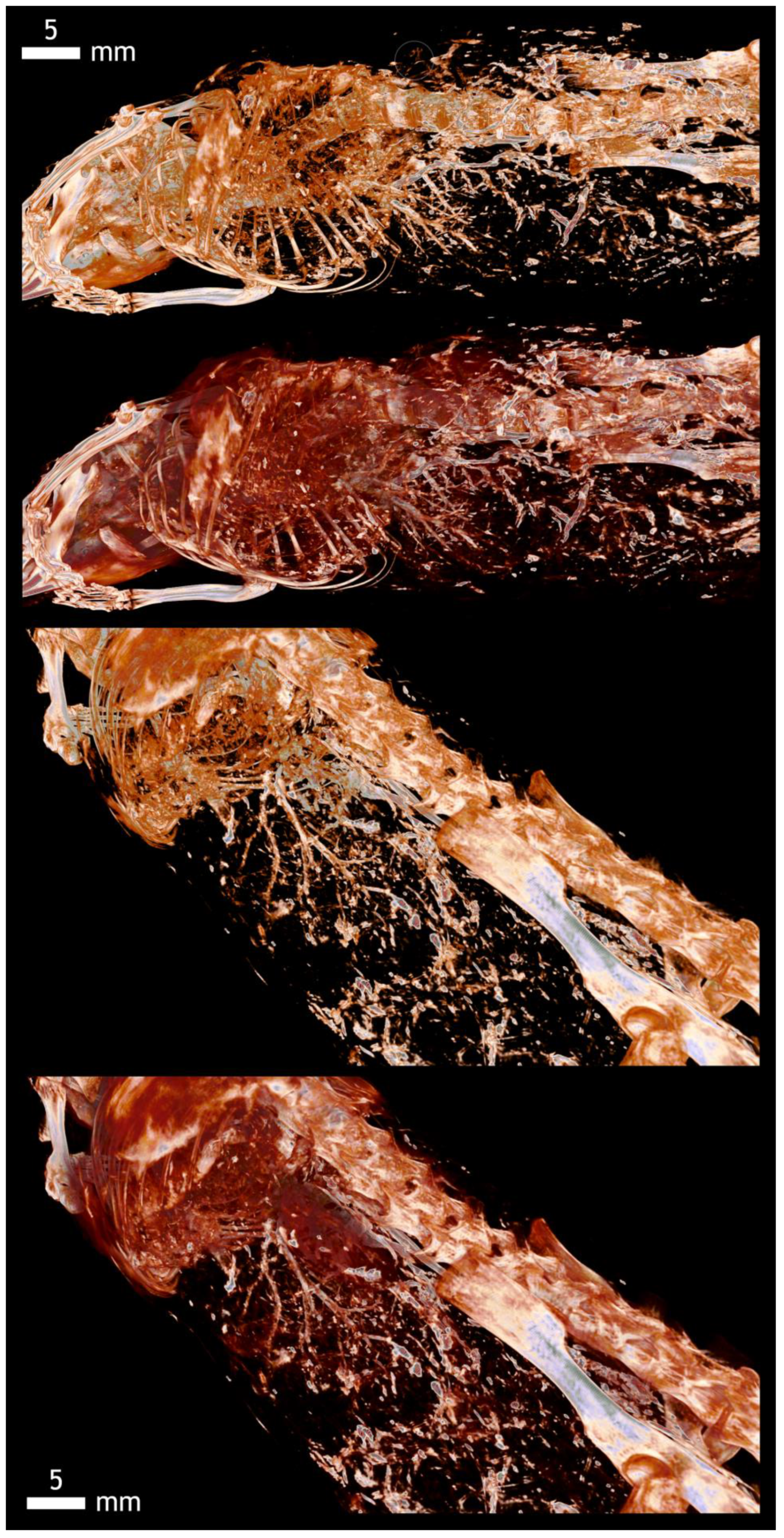 Applsci 12 04918 g0a7 Applsci 12 04918 g0a7