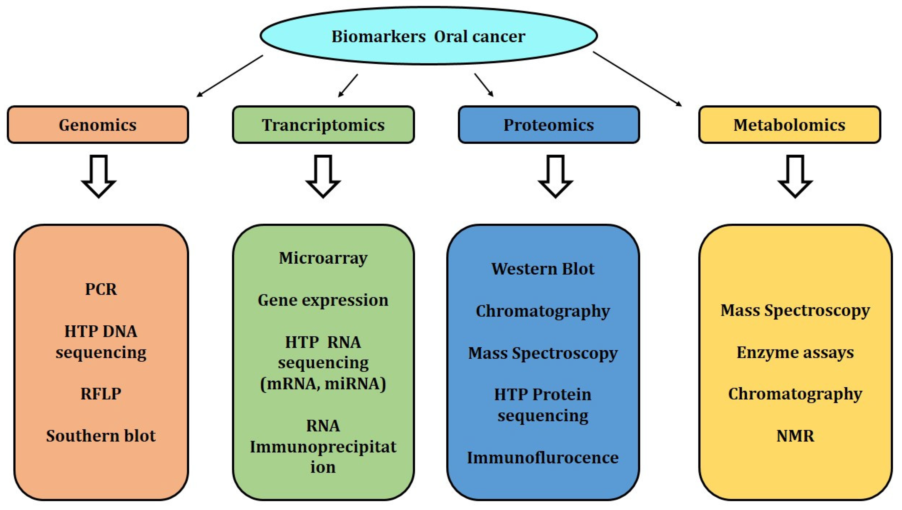 Applsci 12 04926 g001