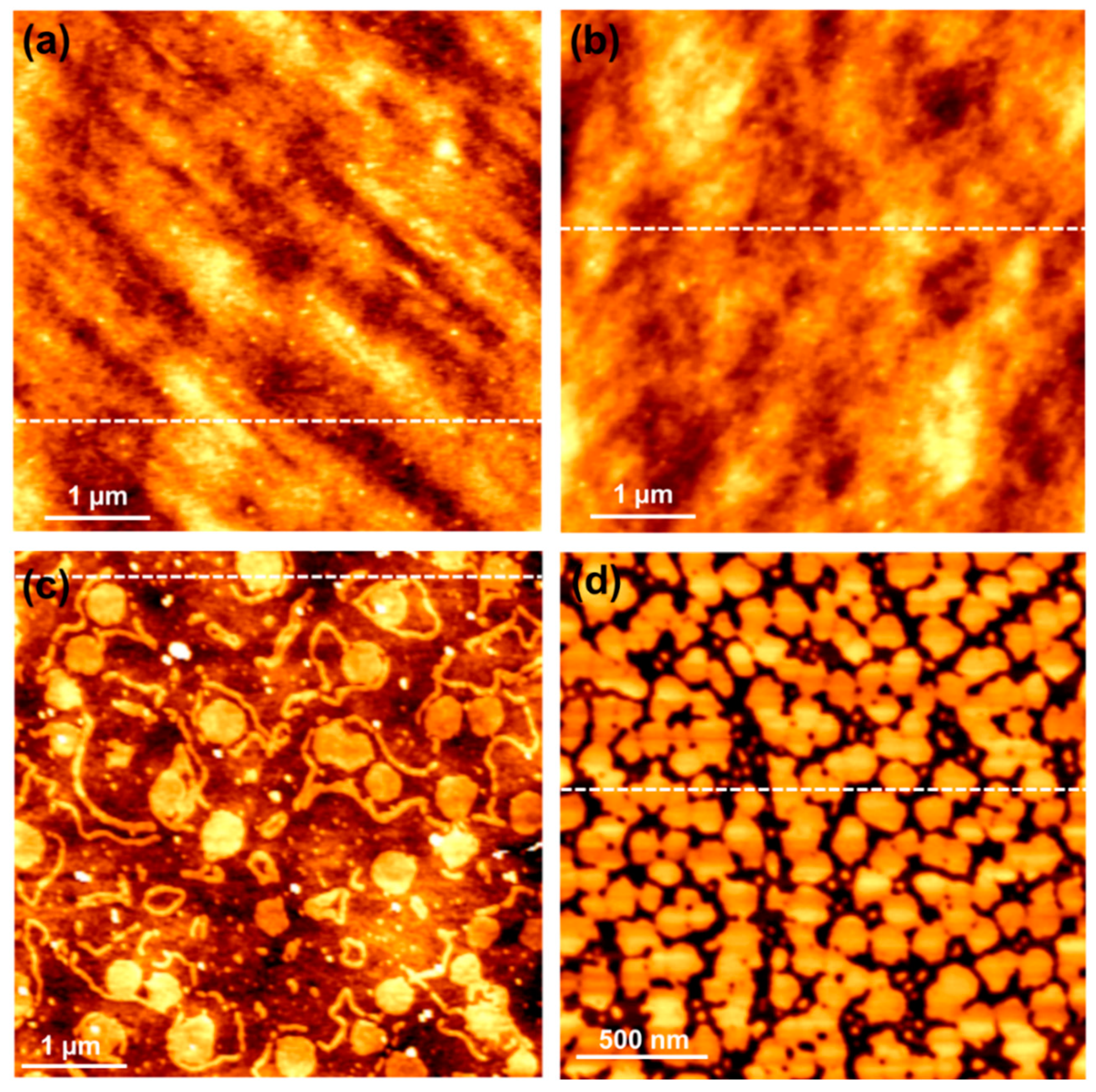 Applsci 12 04932 g002