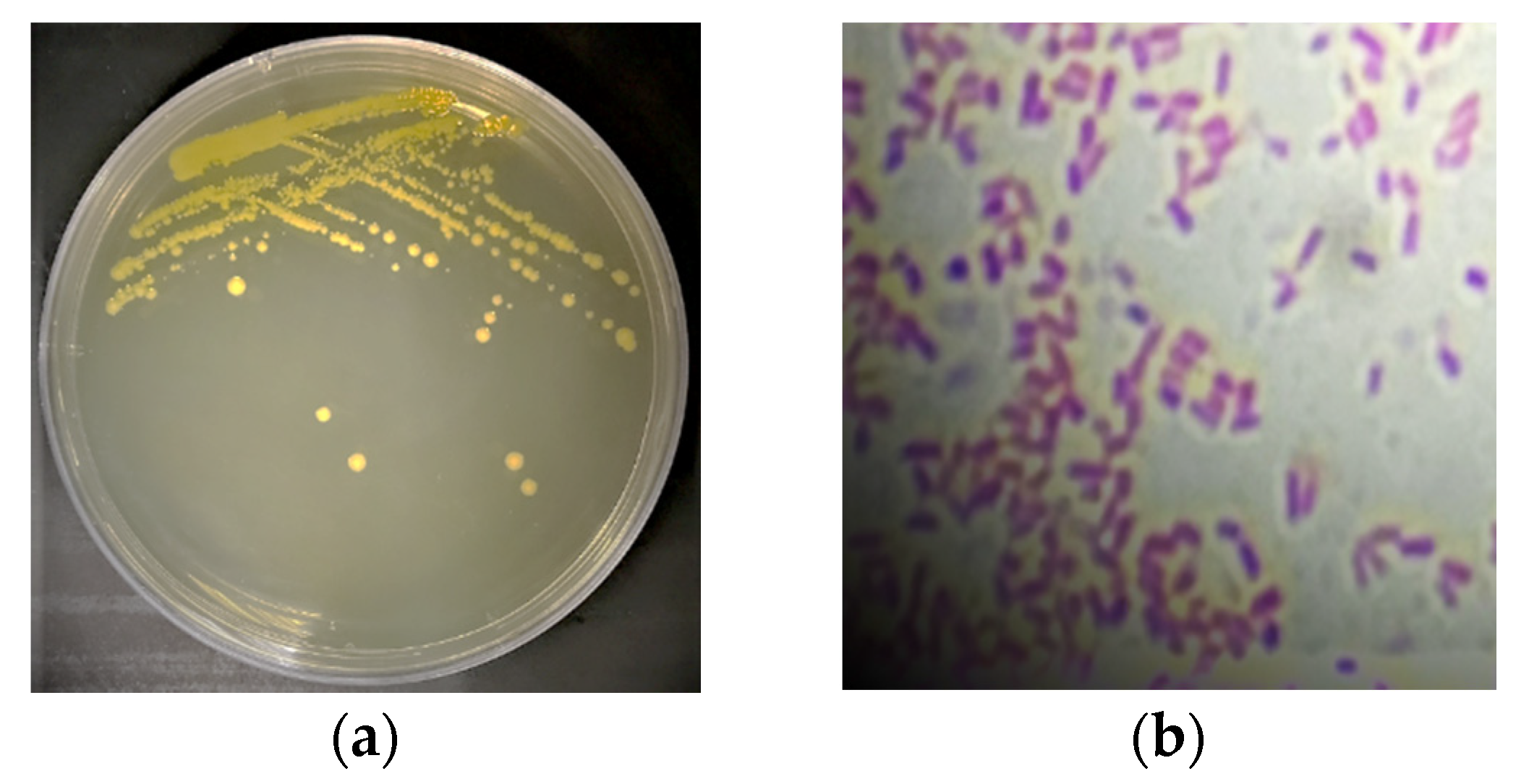 Applsci 12 04933 g001 550