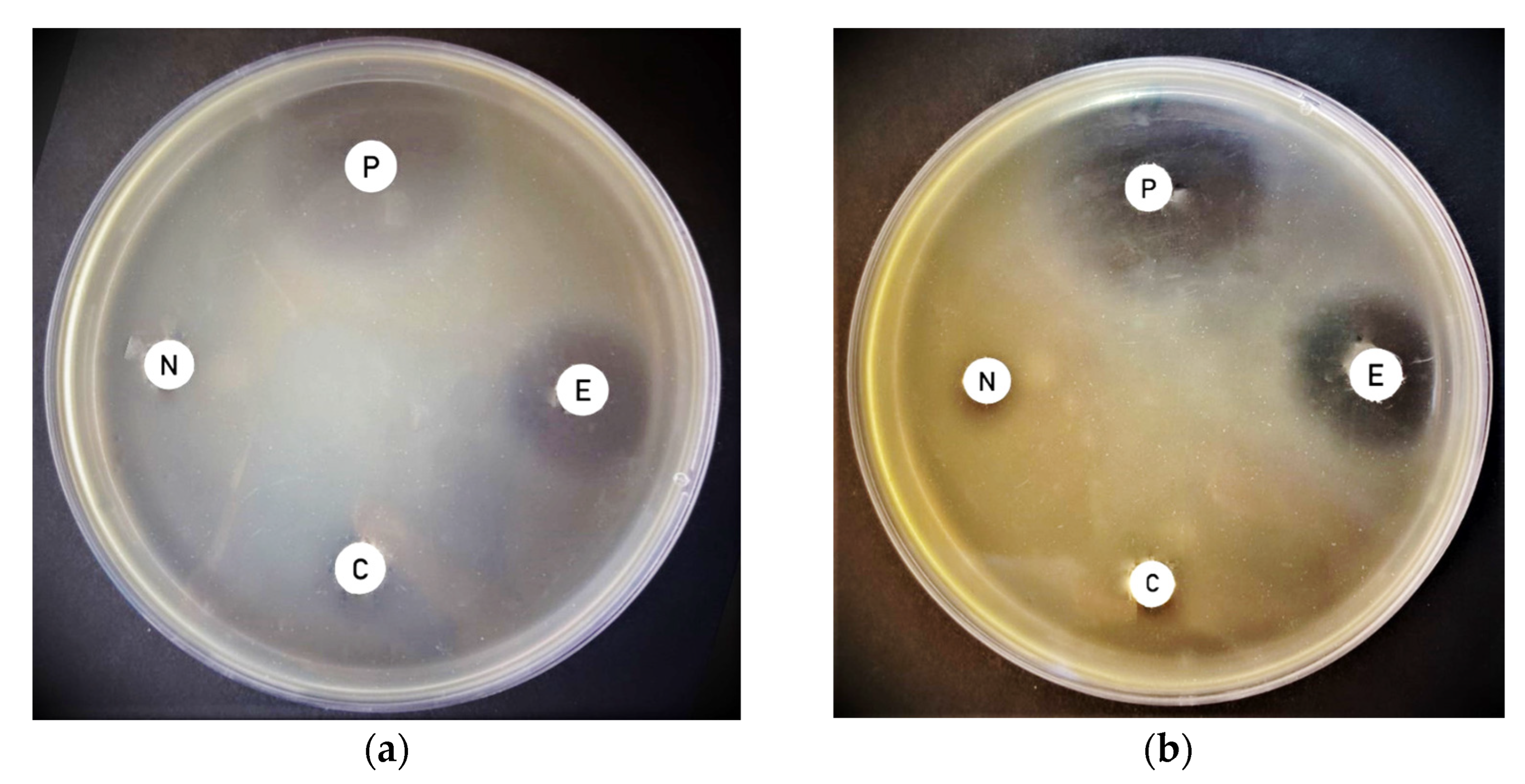 Applsci 12 04933 g003 550