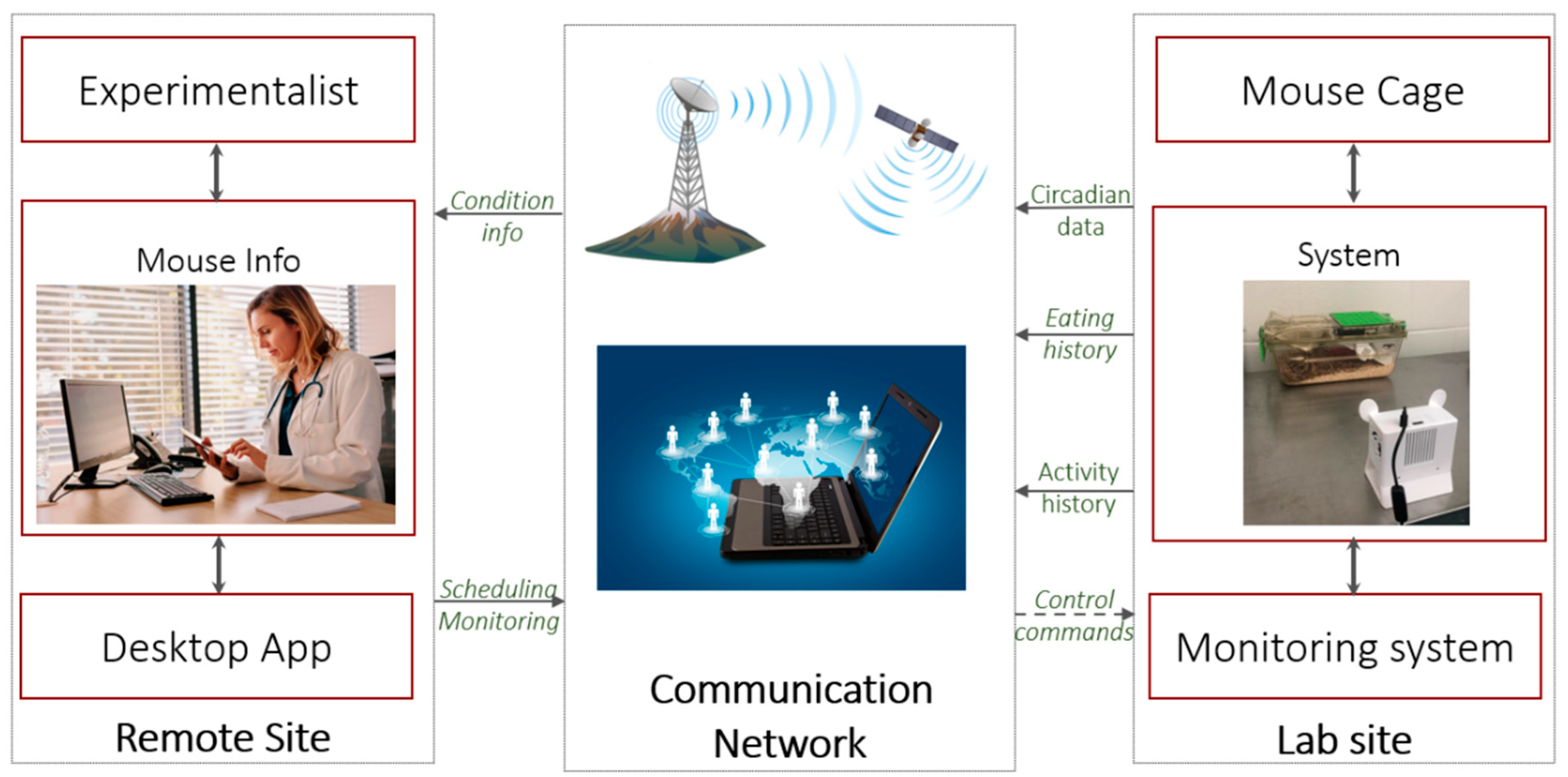 Applied Sciences | Free Full-Text | CageView: A Smart Food Control and Monitoring System for Phenotypical Research In Vivo Applied Sciences | Free Full-Text | CageView: A Smart Food Control and Monitoring System for Phenotypical Research In Vivo