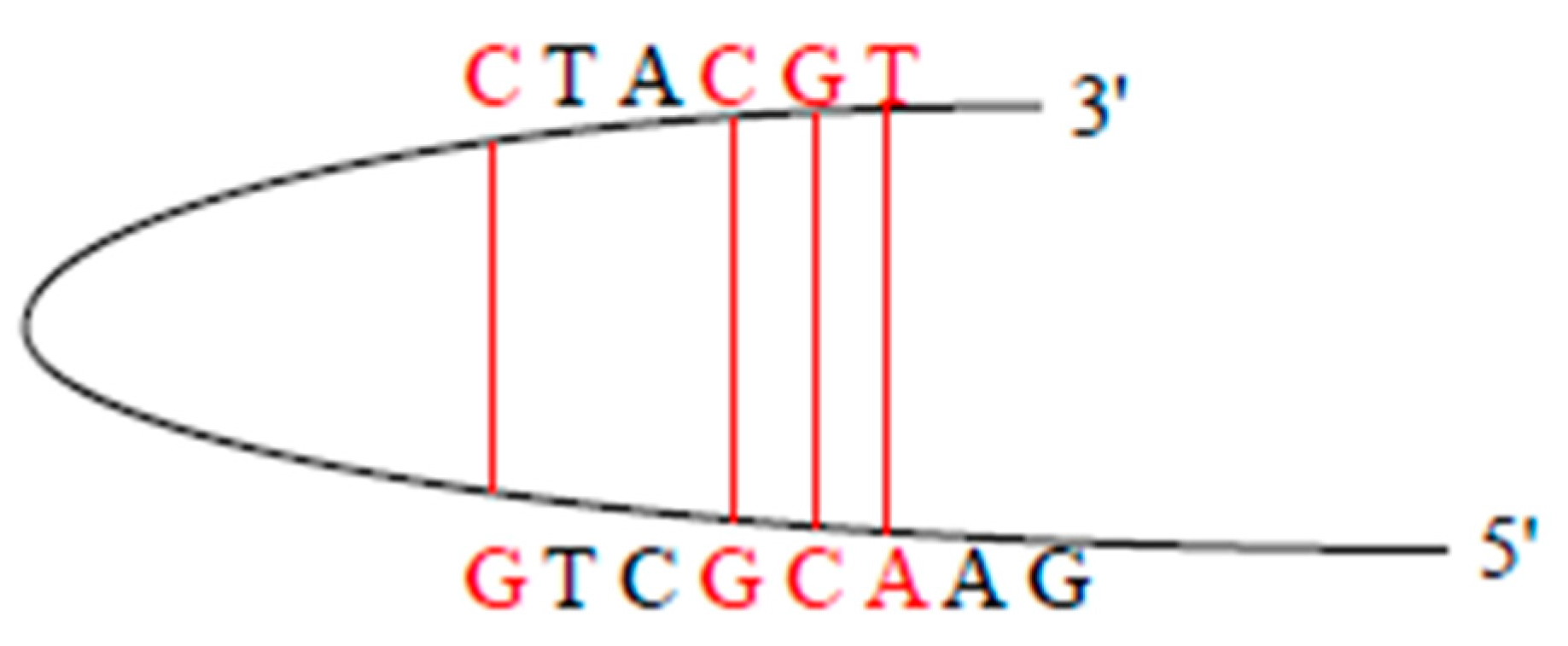 Applsci 12 04992 g002 550