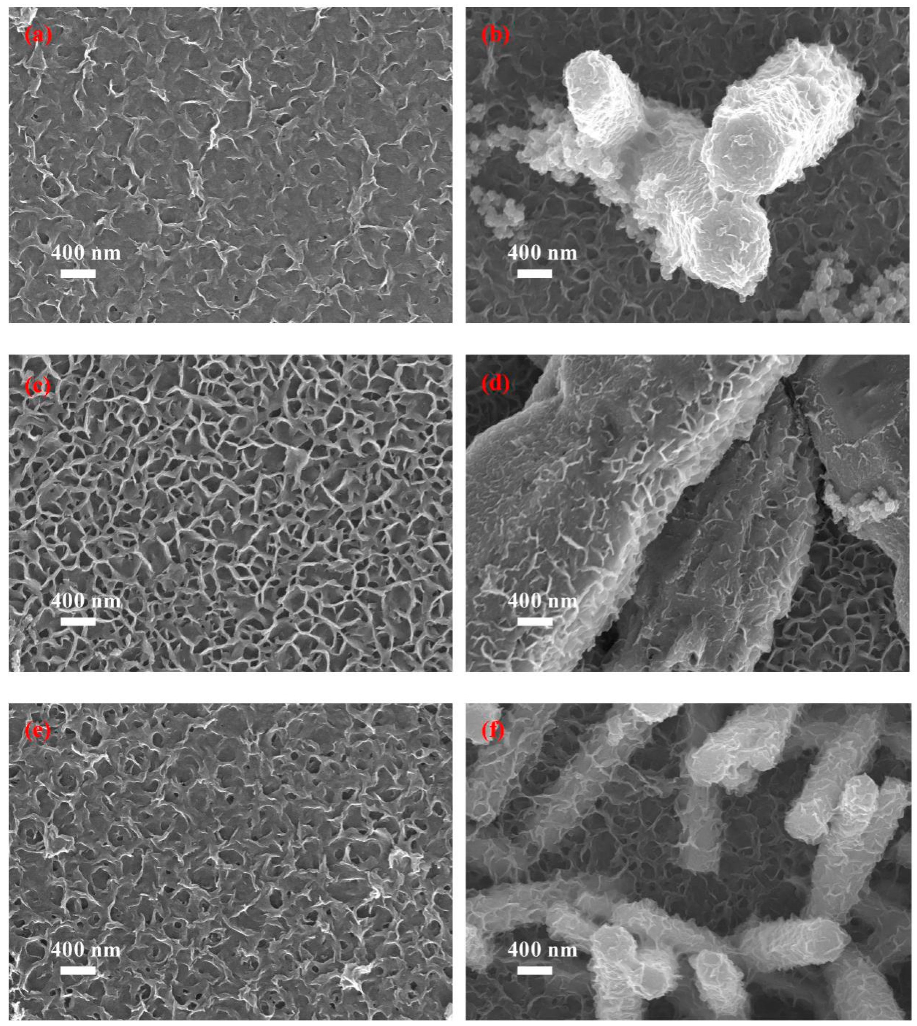 Applsci 12 04996 g005